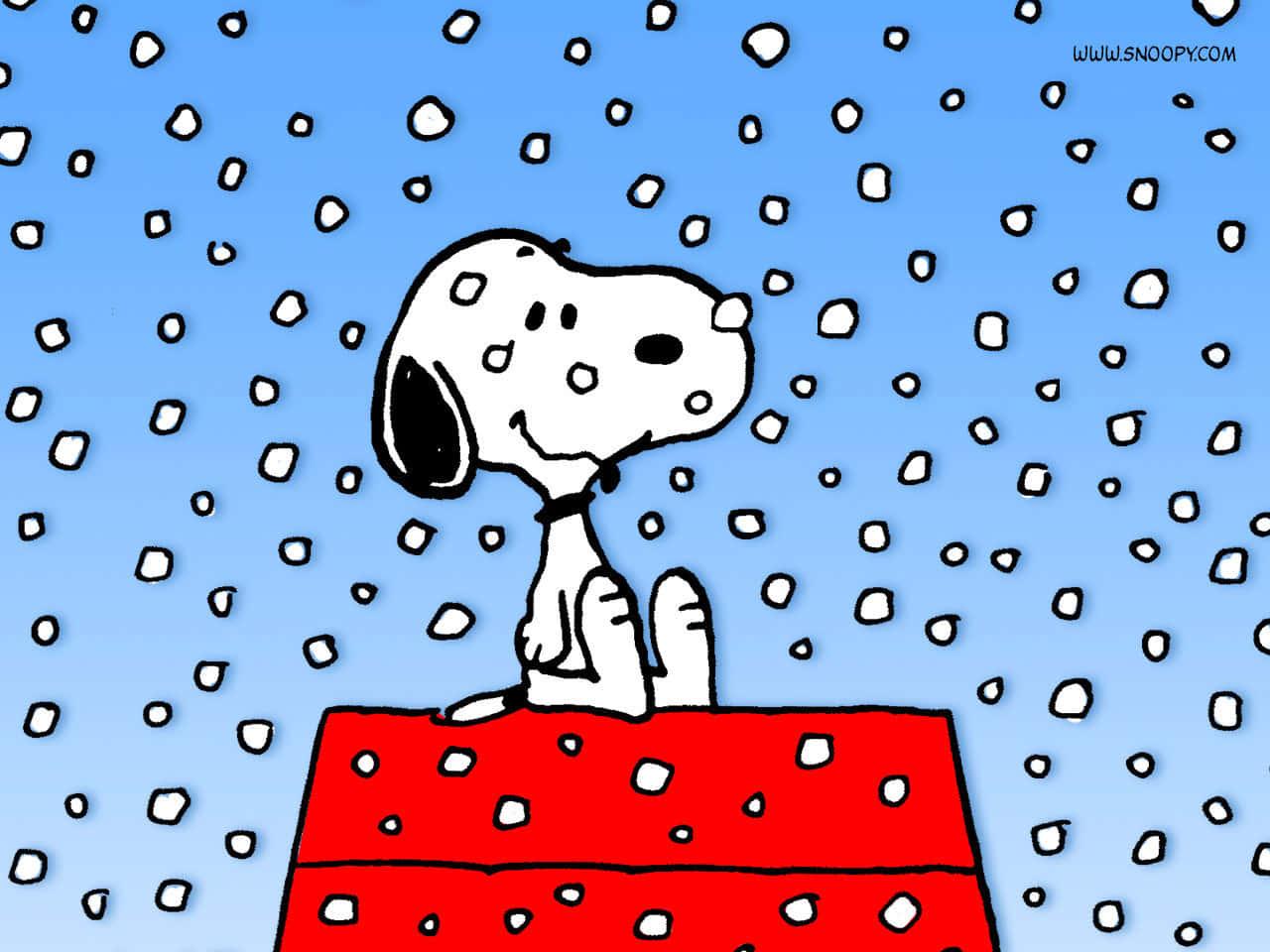 Snoopy: Loyal companion and best friend to Charlie Brown. — 1280x960 wallpaper
