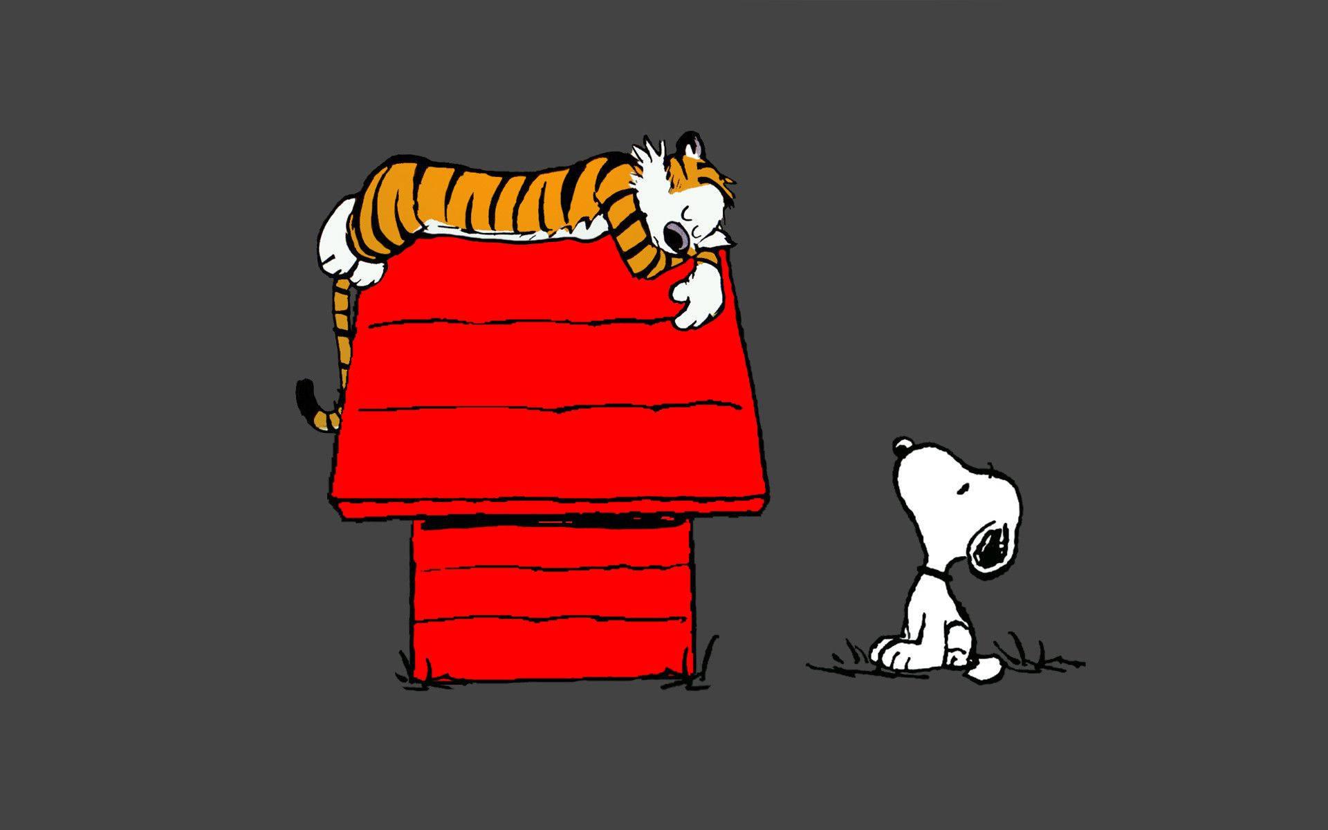 Snoopy watching Hobbes — 1920x1200 wallpaper