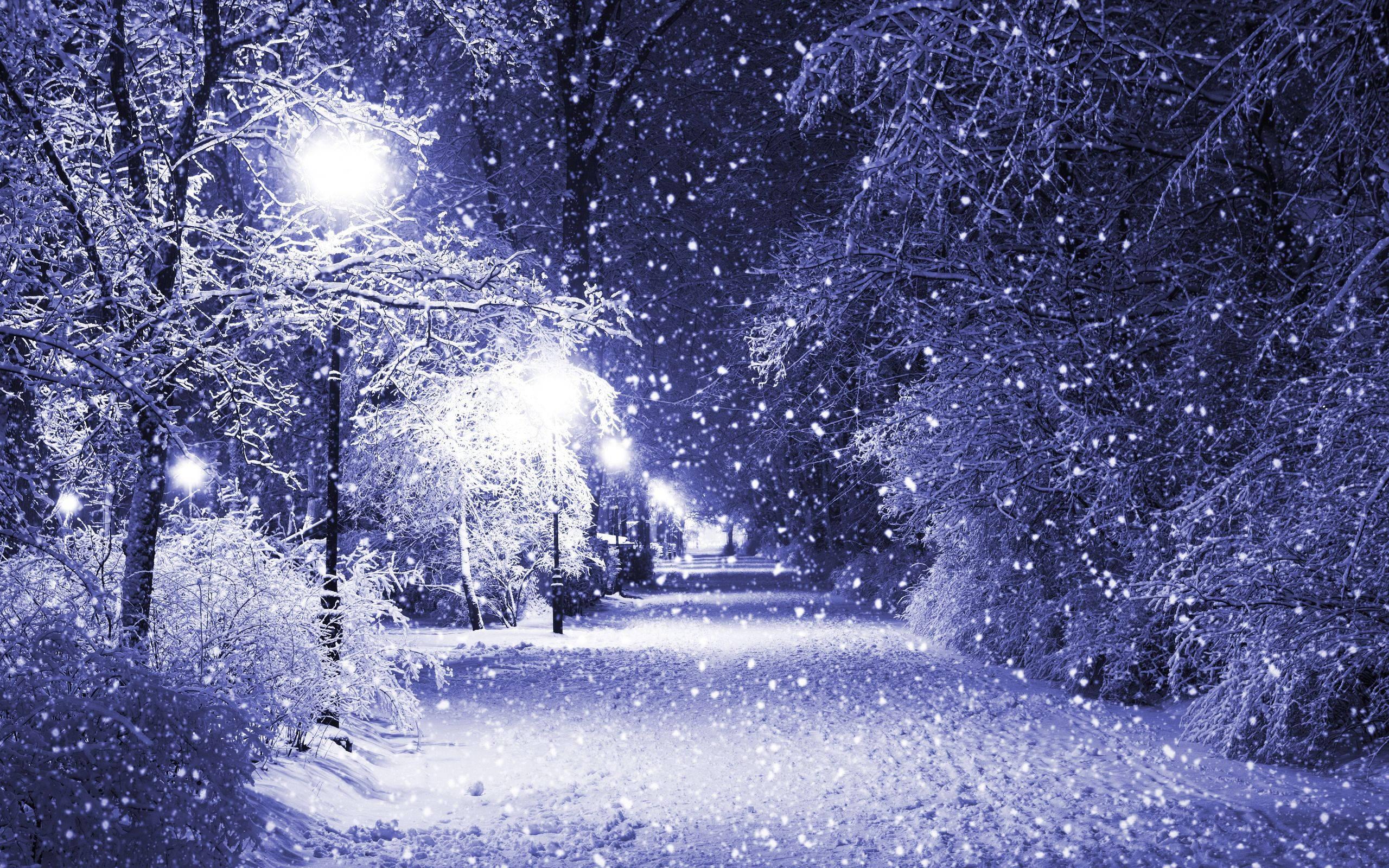 Snow On Winter Road — 2560x1600 wallpaper