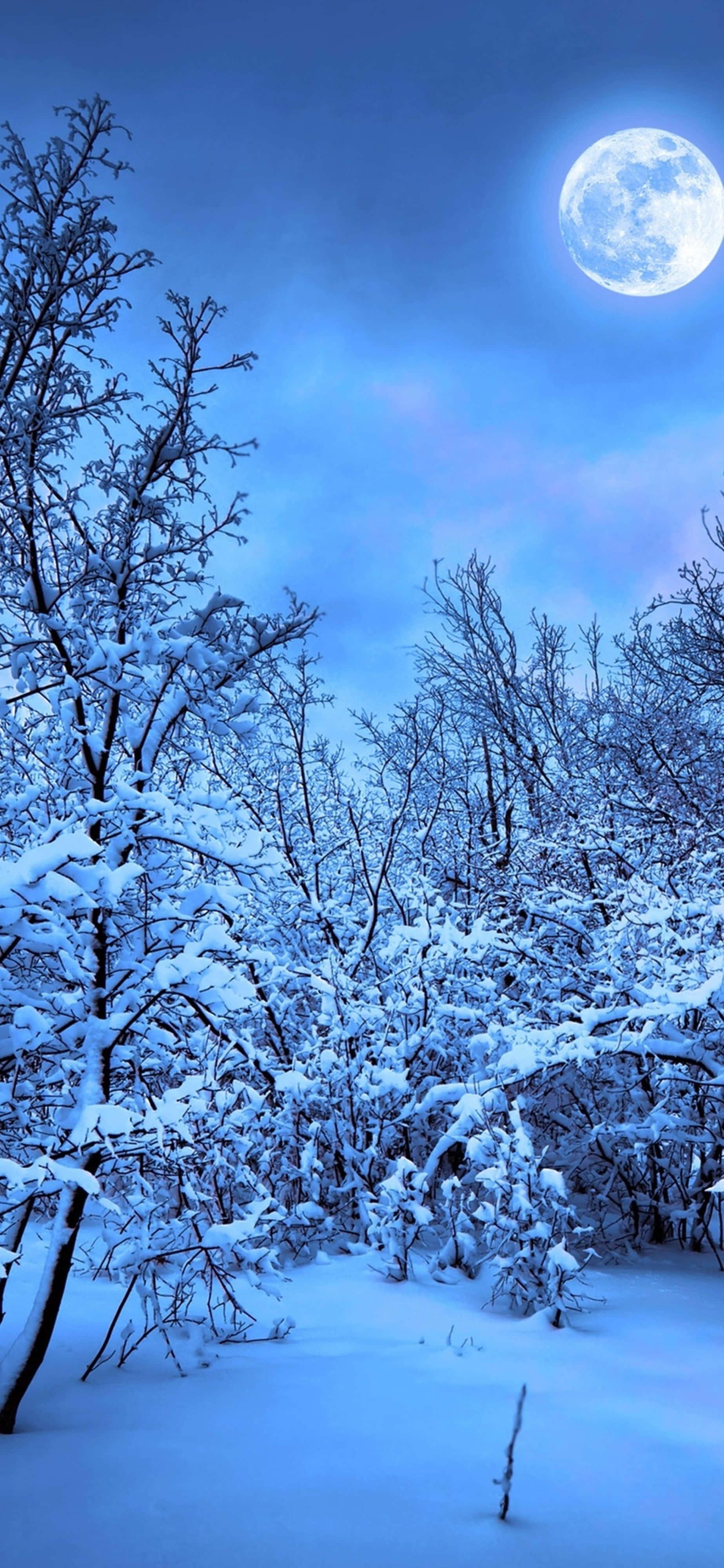 Snowy Nature 4K iPhone — 1847x4000 wallpaper