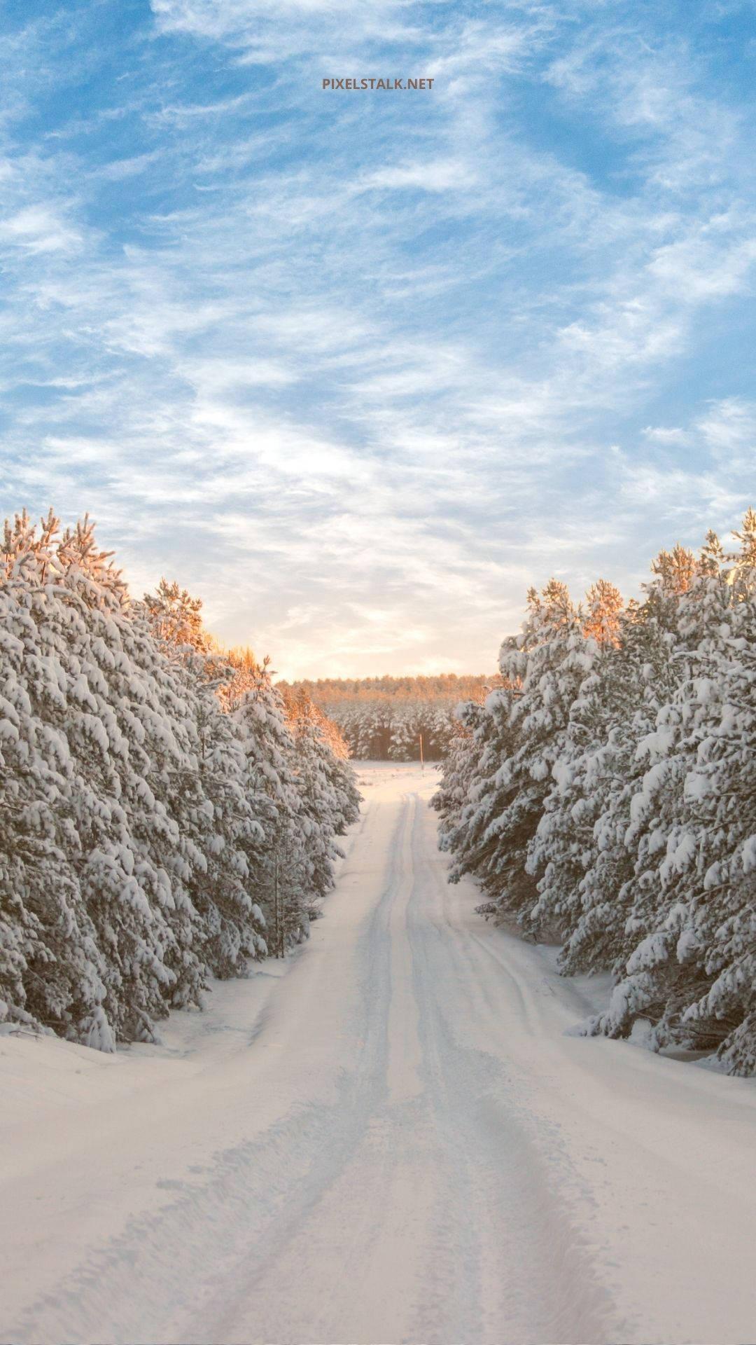 Snowy Path Winter iPhone — 1080x1920 wallpaper