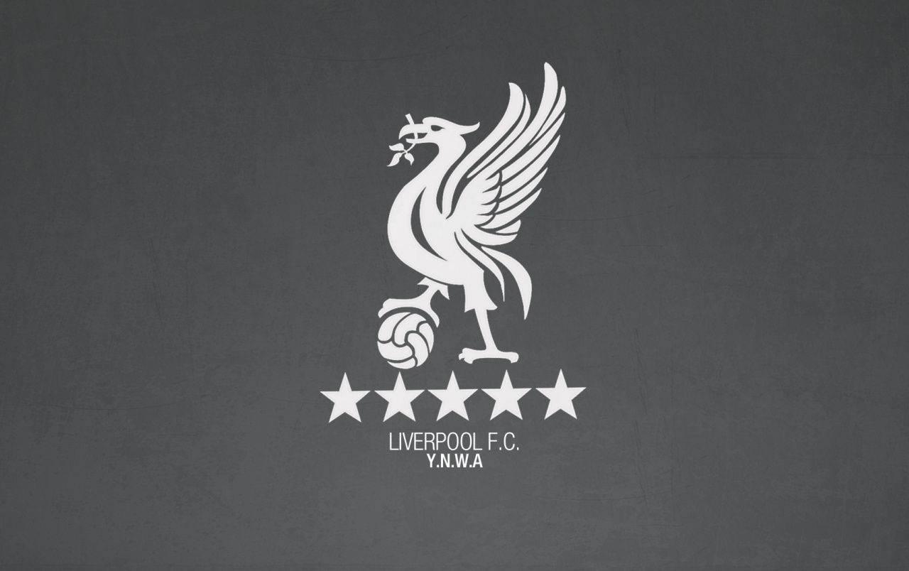 Soccer Passion - Liverpool FC — 1280x804 wallpaper