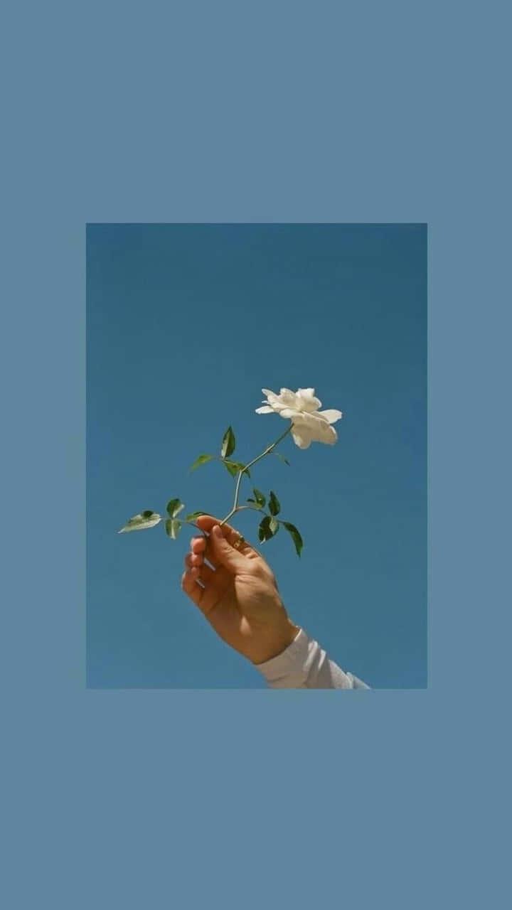 Soft Blue Aesthetic — 720x1280 wallpaper