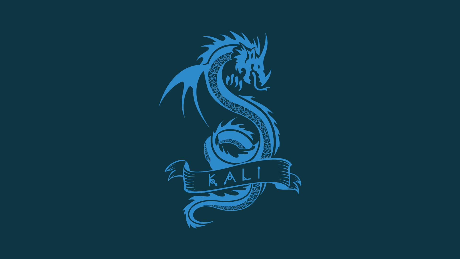 Solarized Dragon Kali Linux HD — 1920x1080 wallpaper
