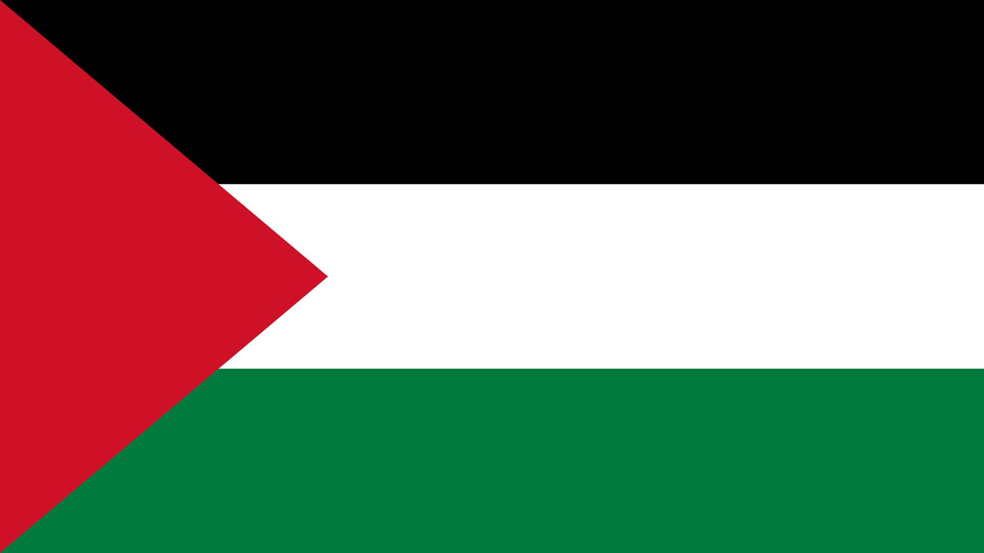 Solid Colors Of Palestine Flag — 1920x1080 wallpaper