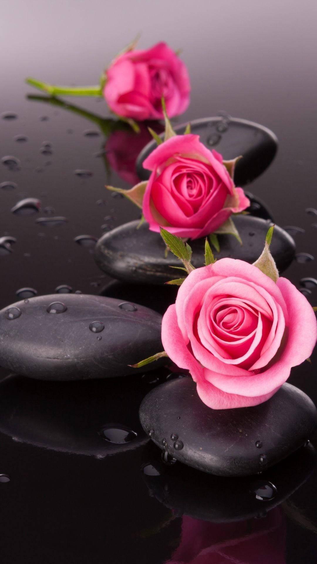 Spa Stone And Pink Roses Flower Mobile — 1080x1919 wallpaper