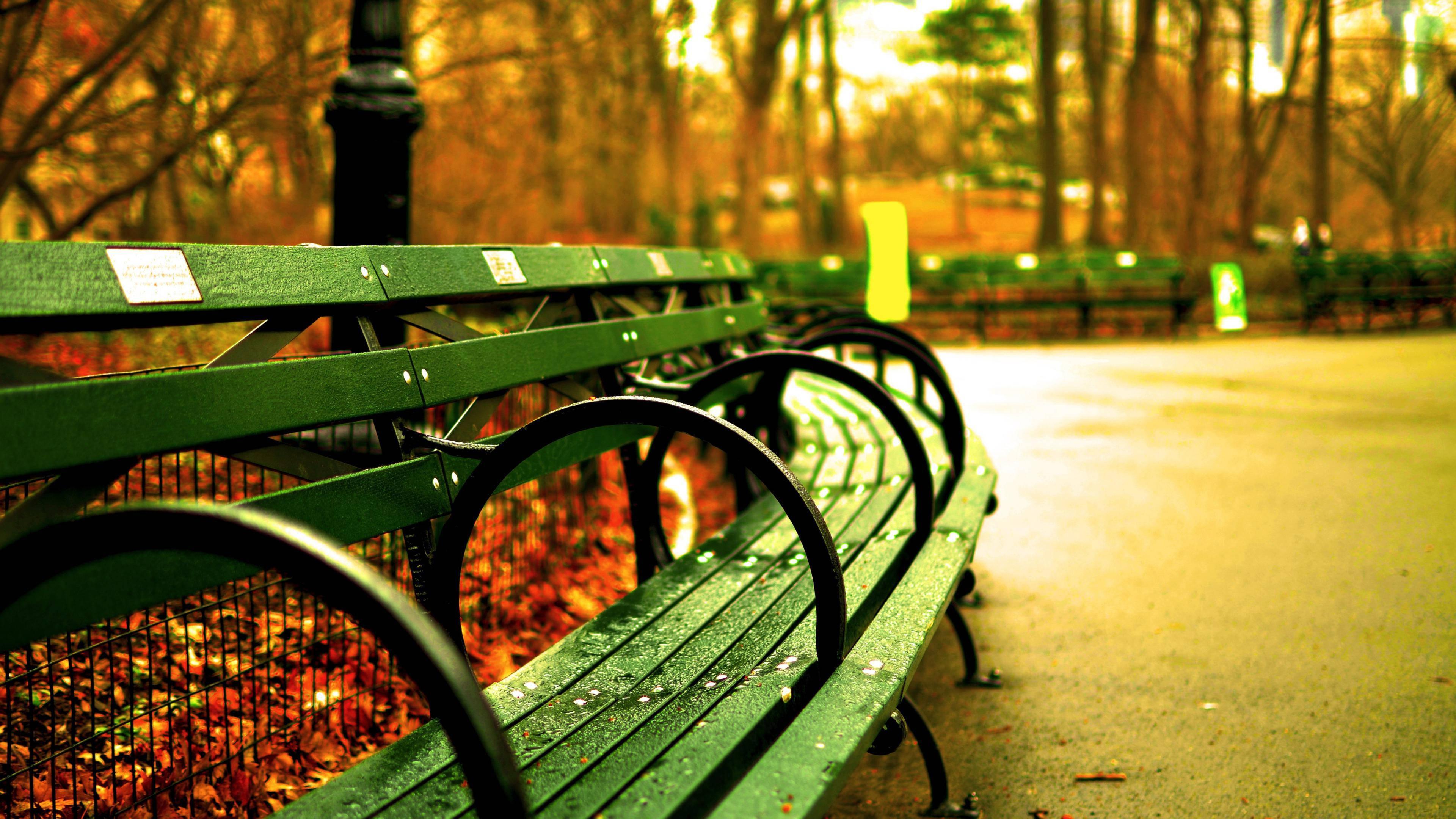 Spend some time to relax in the green park bench — 3840x2160 wallpaper