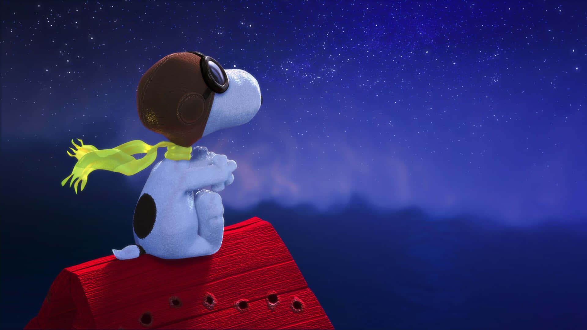 Spend Time with Your Best Friend — 1920x1080 wallpaper