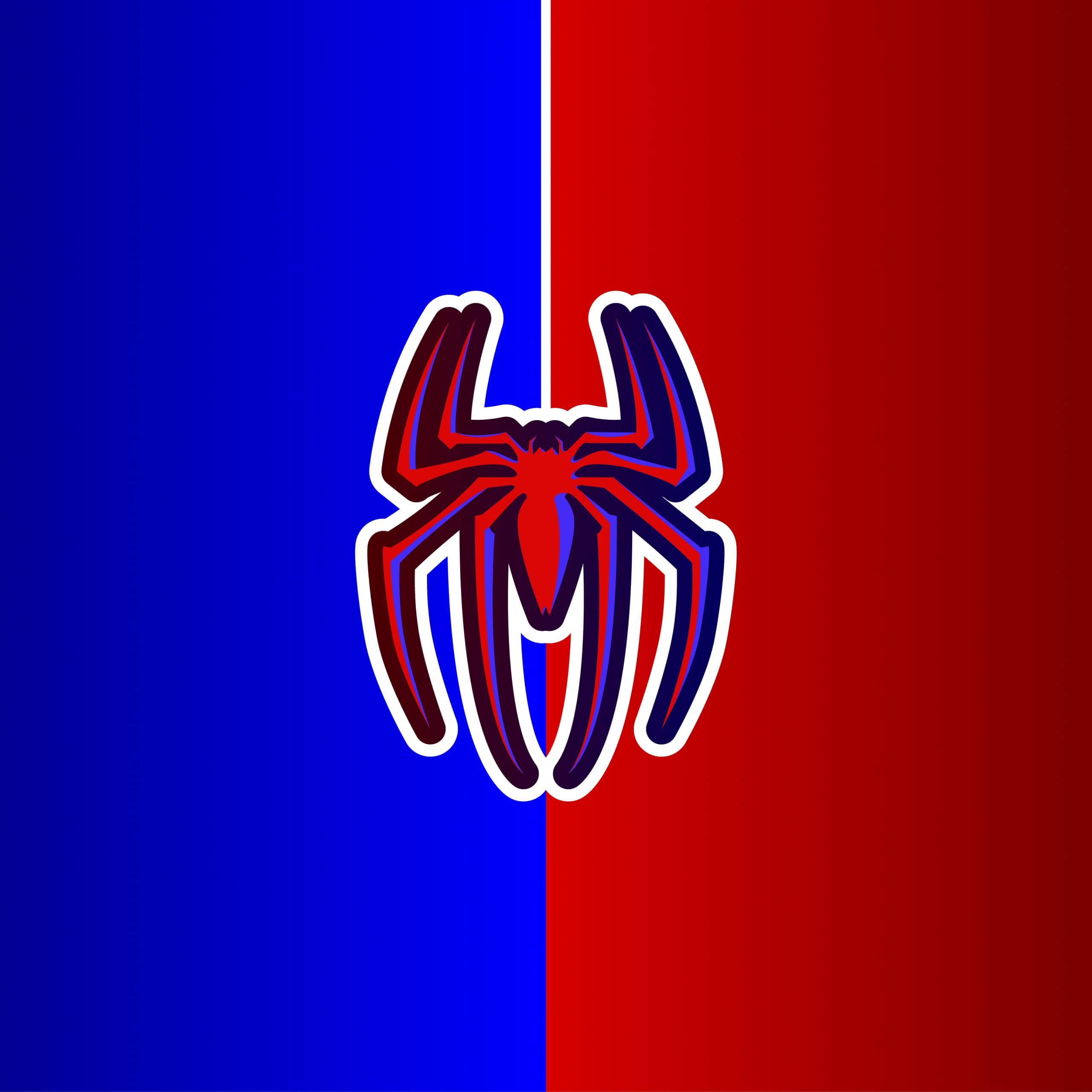 Spider Man background — 2560x2560 wallpaper