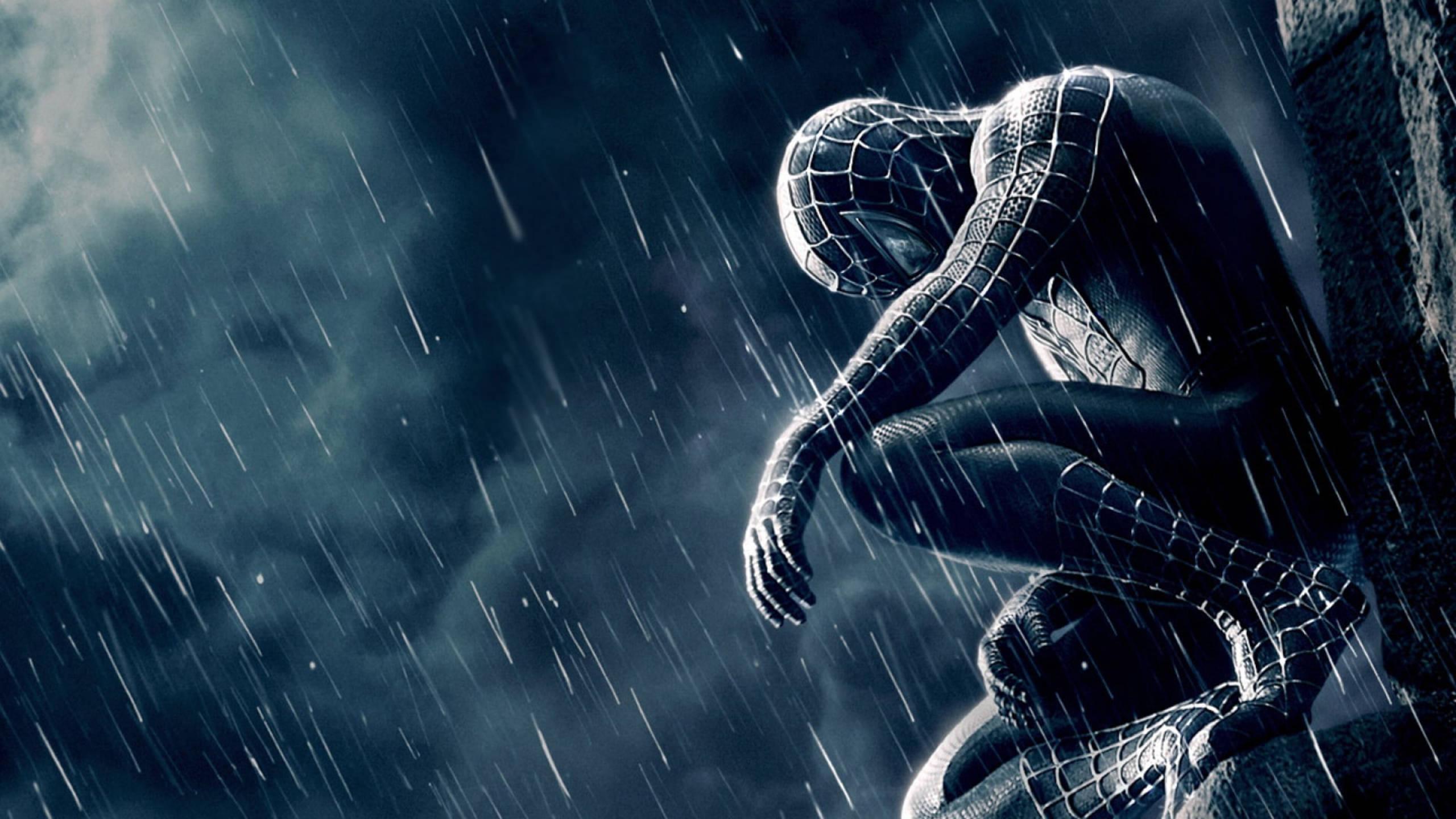 Spider-Man Movie Cover — 2560x1440 wallpaper