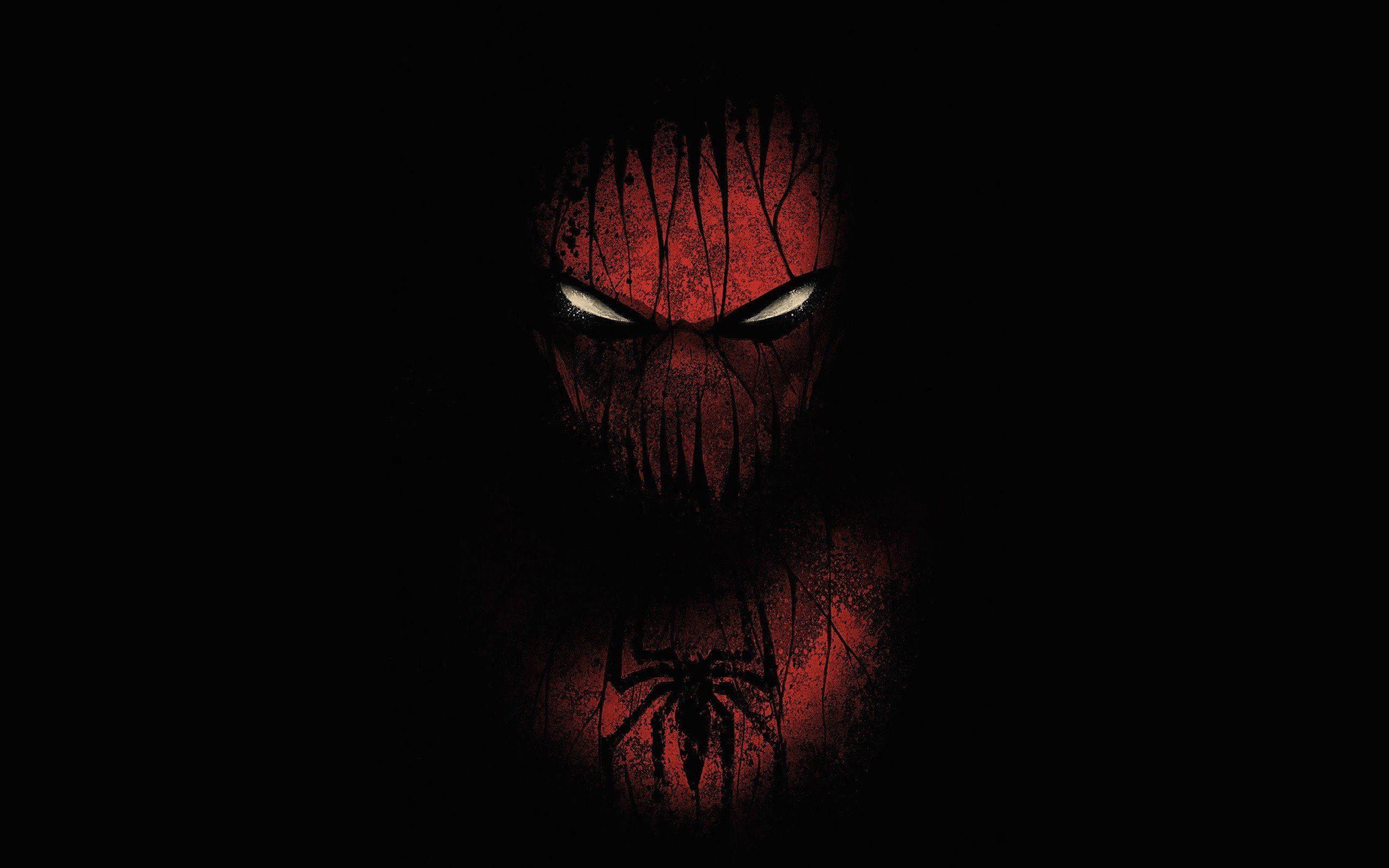 Spider Man On Black Background — 2560x1600 wallpaper