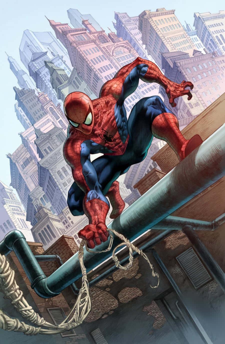 Spider Man pictures — 900x1377 wallpaper