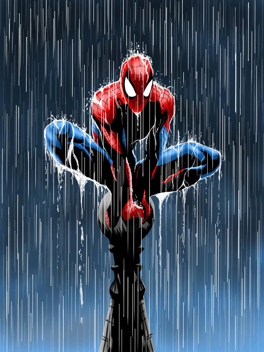 Spider Man pictures — 1080x1440 wallpaper