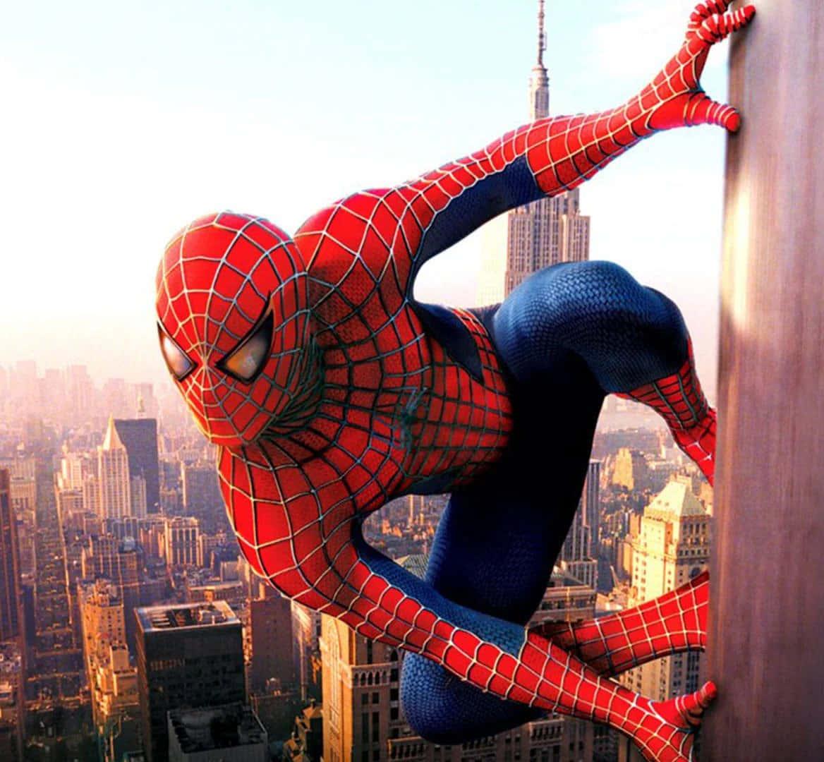 Spider Man pictures — 1168x1080 wallpaper