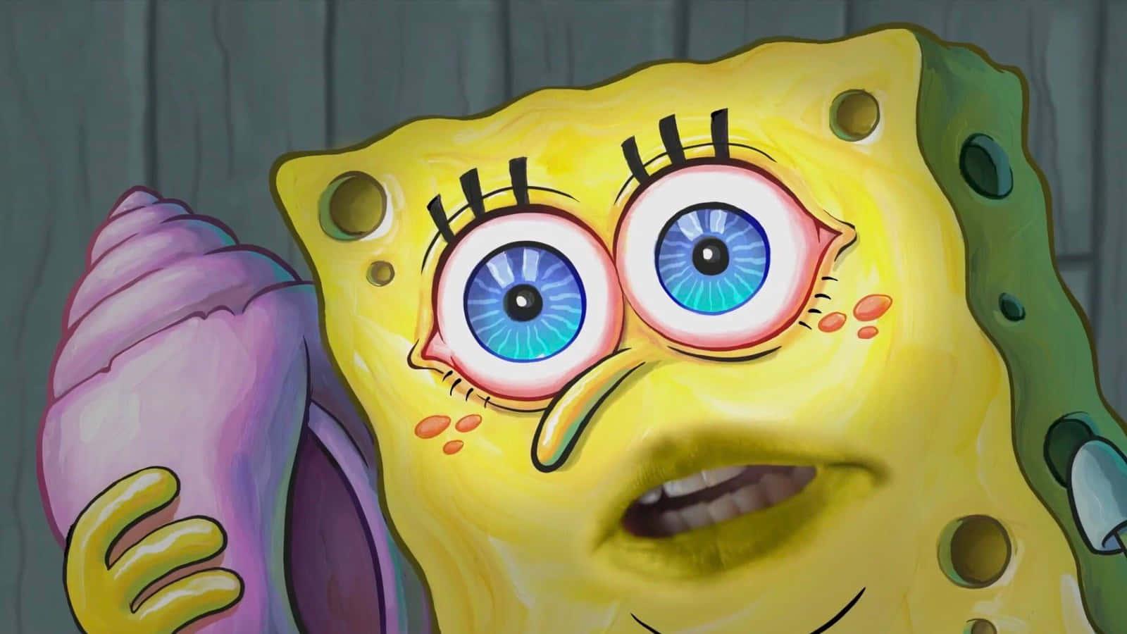 Spongebob Squarepants and his friends in Bikini Bottom — 1600x900 wallpaper