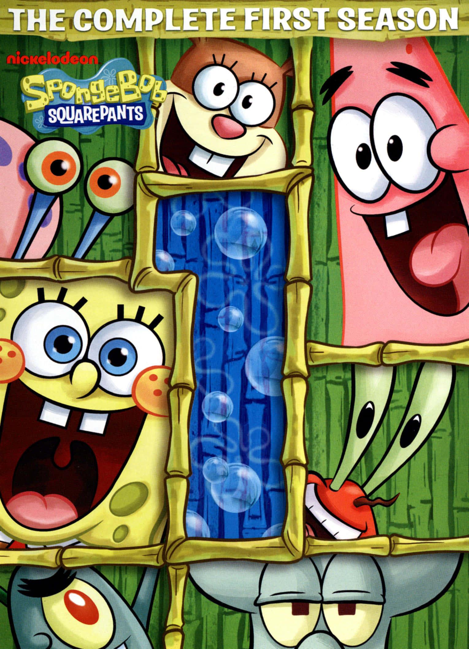SpongeBob SquarePants First Season Picture — 1529x2115 wallpaper