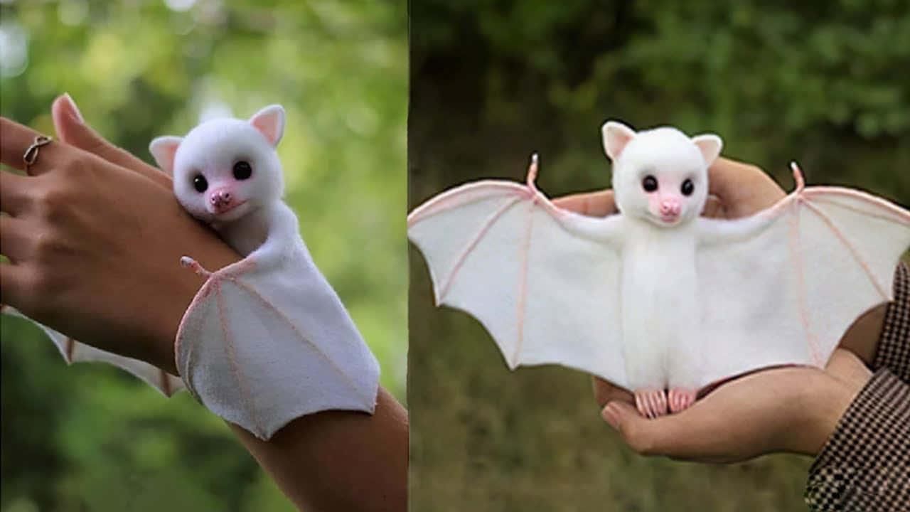 Spread Fun and Smiles with This Adorable Photo — 1280x720 wallpaper