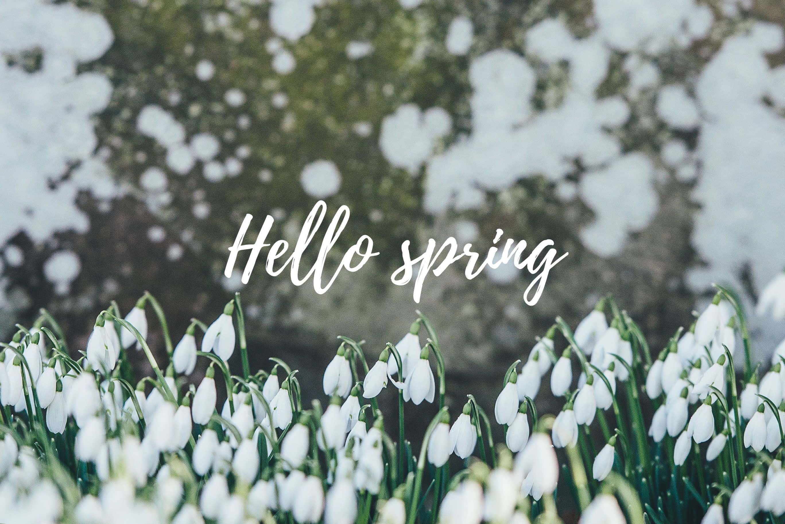 Spring Desktop background — 2735x1827 wallpaper