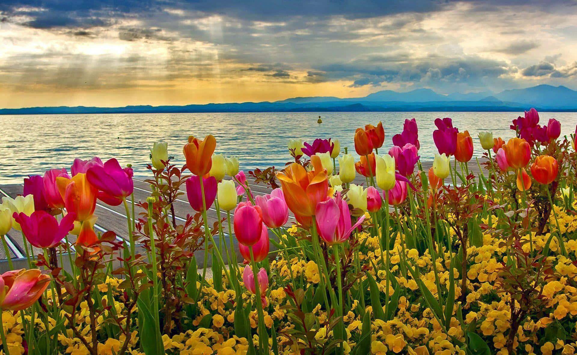 Spring Desktop background — 1920x1182 wallpaper