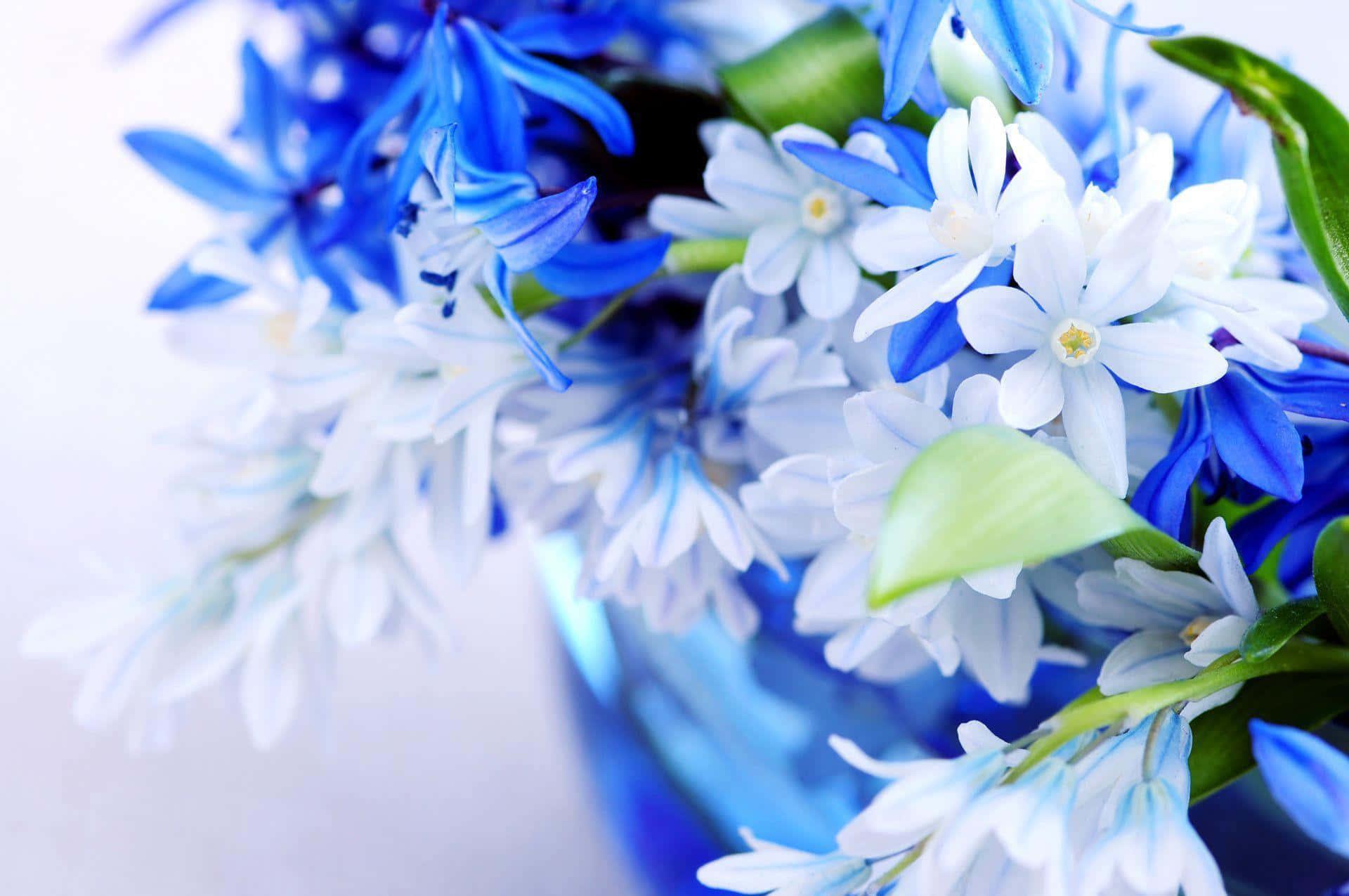 Spring Desktop background — 1920x1275 wallpaper