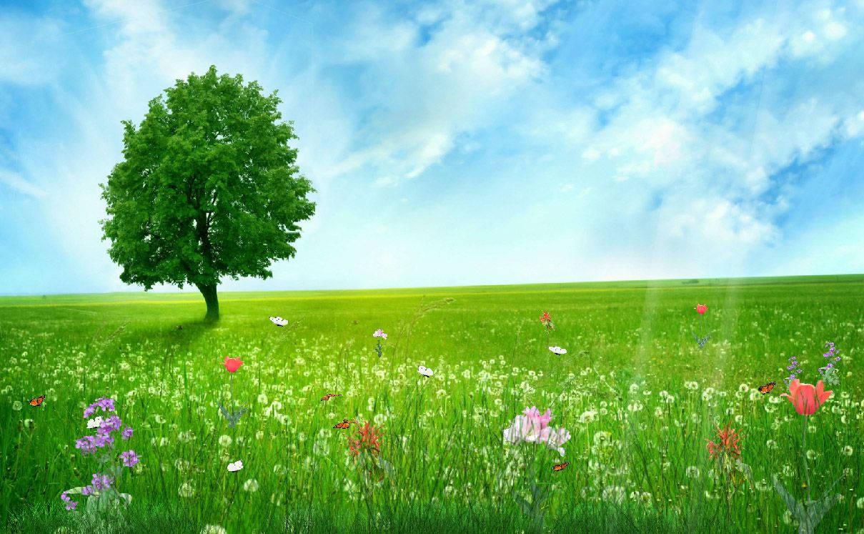 Spring Fields — 1209x747 wallpaper