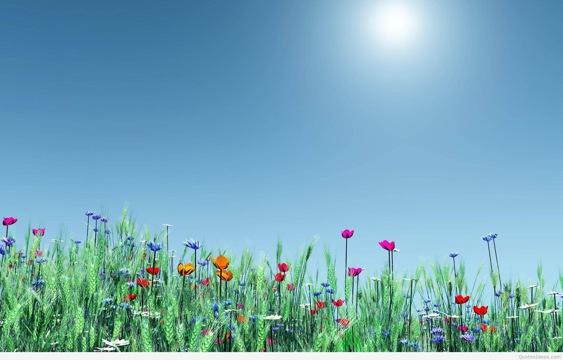 Spring Flowers — 1920x1227 wallpaper