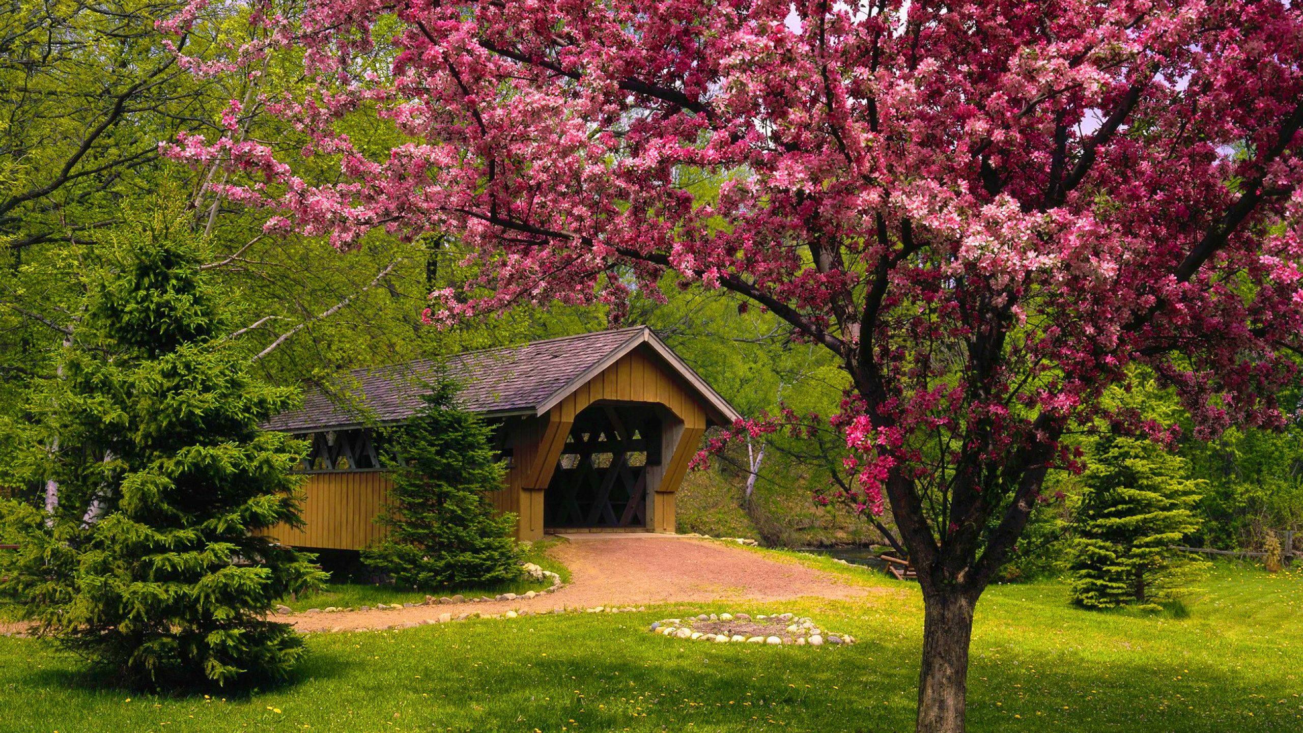 Spring Season Bridge — 2560x1440 wallpaper