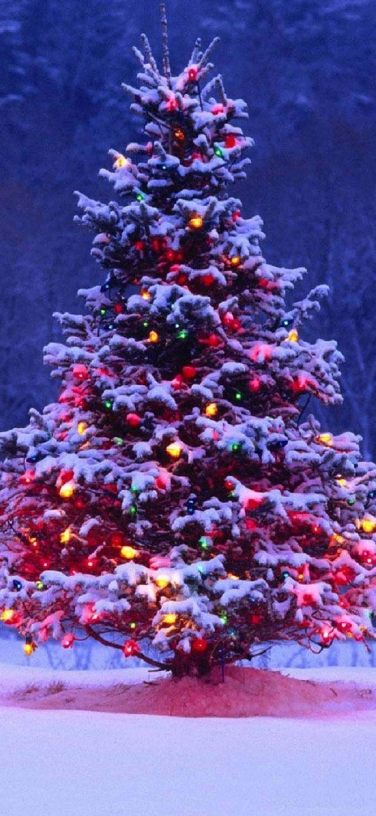 Spruce Up Your iPhone With A Stylish Christmas Background — 1290x2796 wallpaper