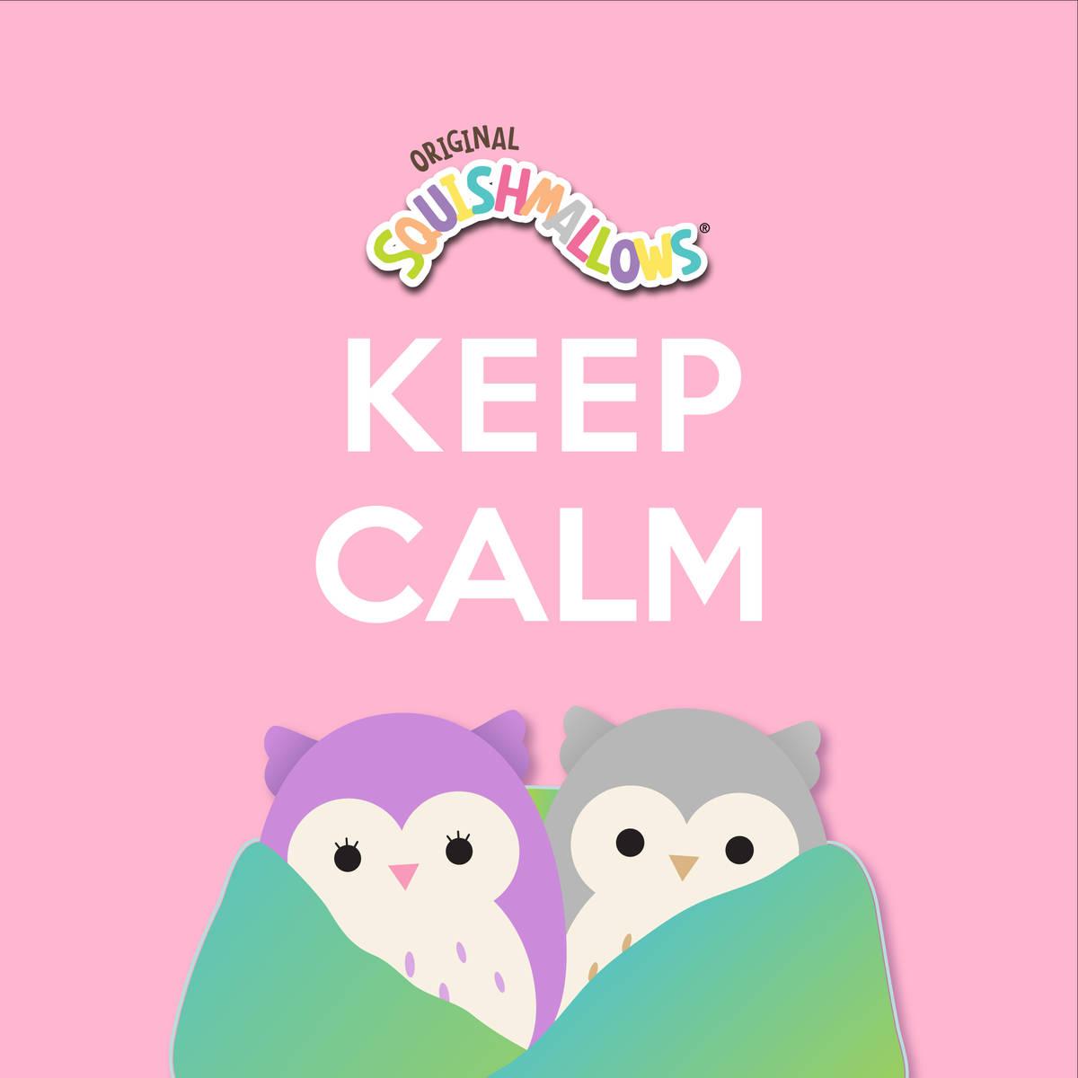 Squishmallows Owl Couple Cover — 1200x1200 wallpaper