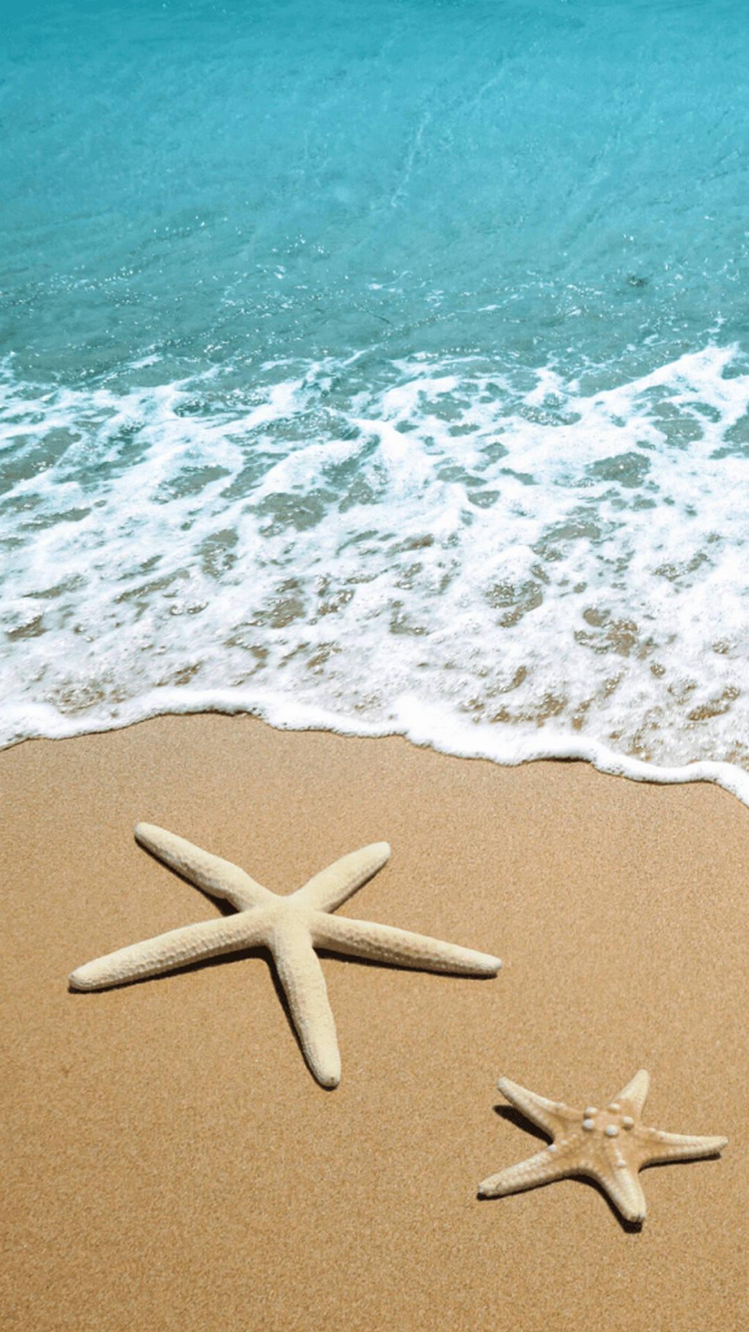 Starfish On Beach Summer iPhone — 1080x1920 wallpaper