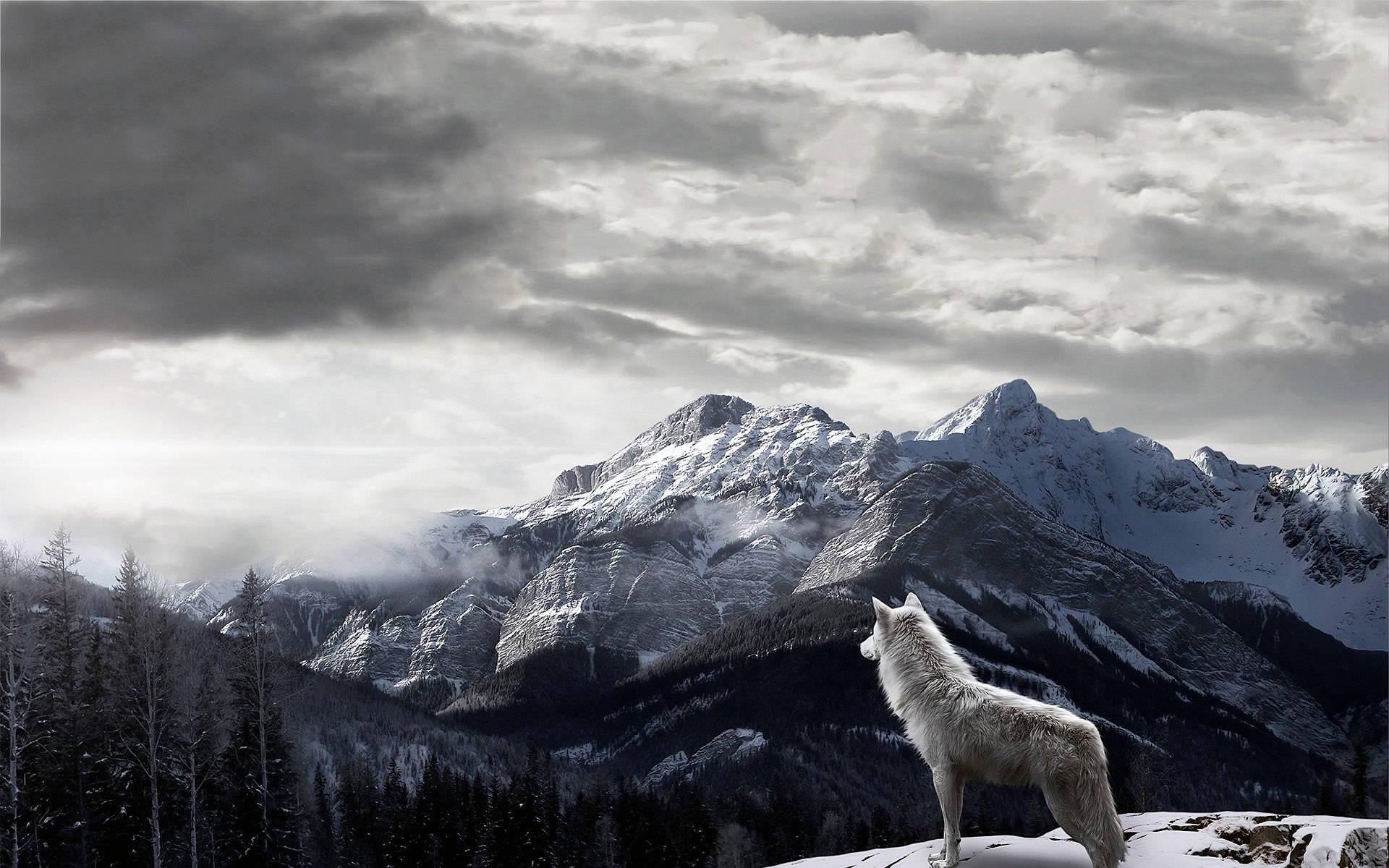 Staring into a Cold Winter Day — 1920x1200 wallpaper