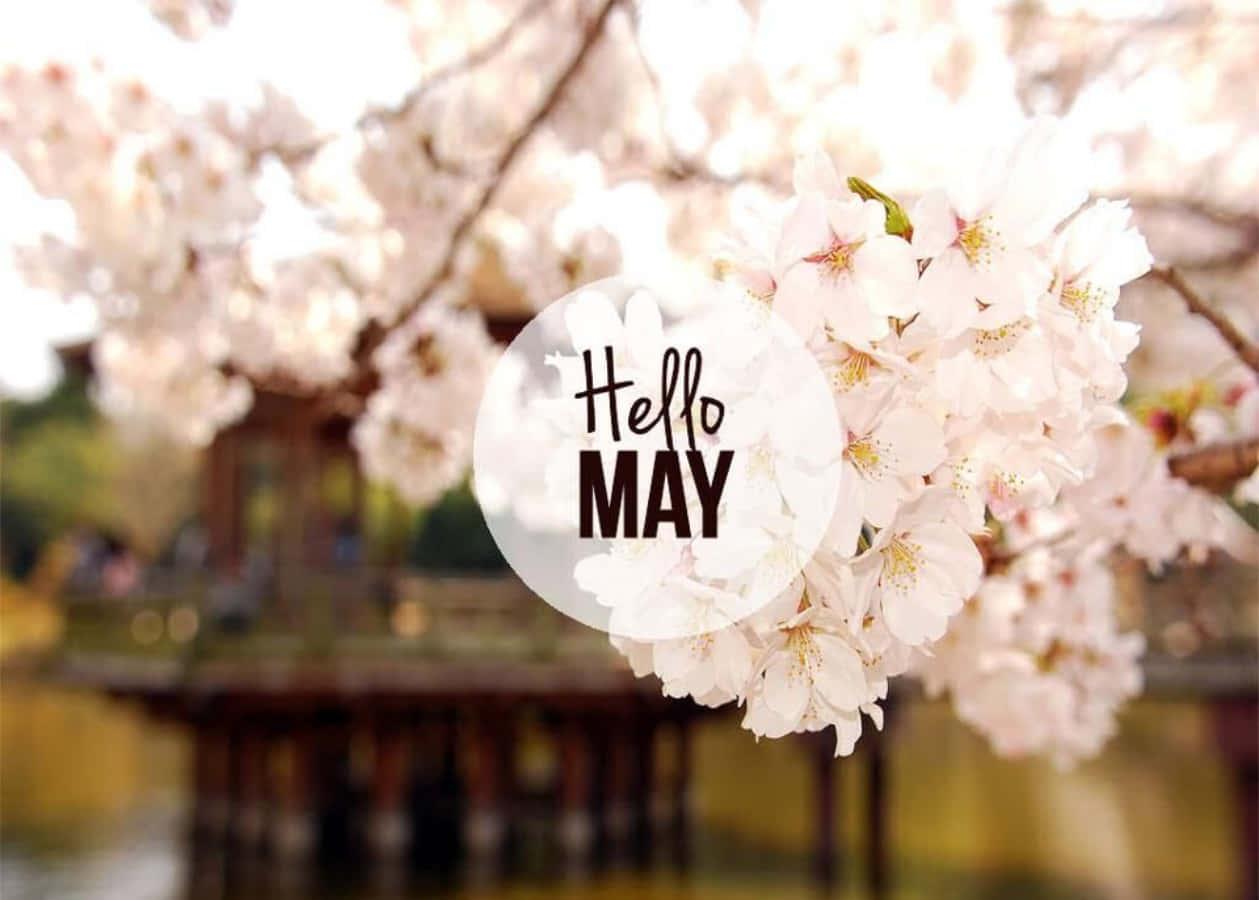 Start the summer off right in May! — 1259x900 wallpaper