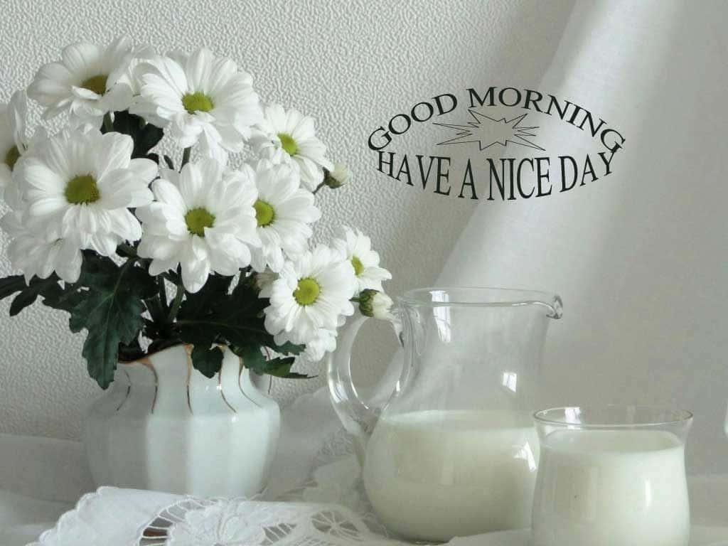 Start your day with a positive mindset — 1024x768 wallpaper