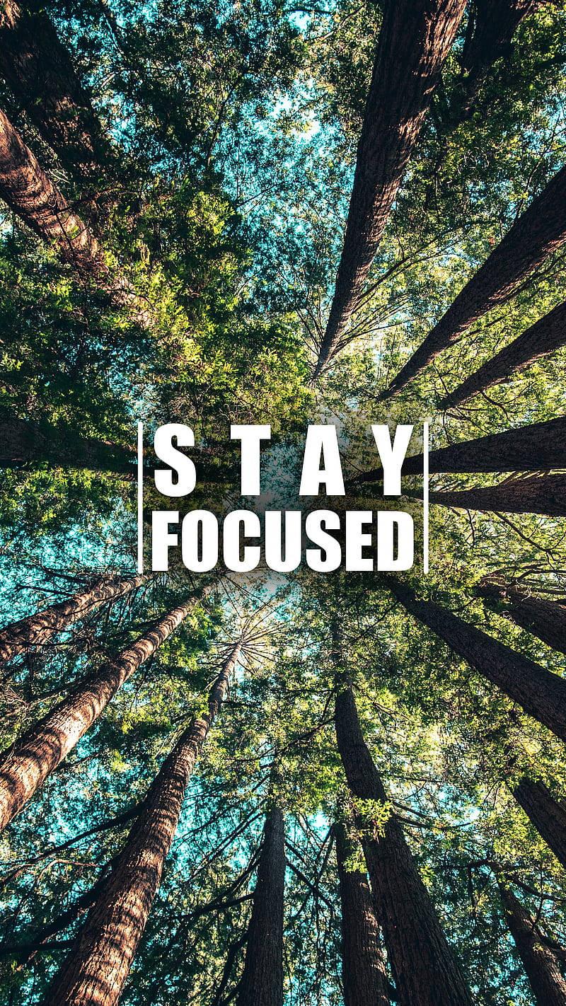 Stay Focused Motivational Mobile — 800x1422 wallpaper