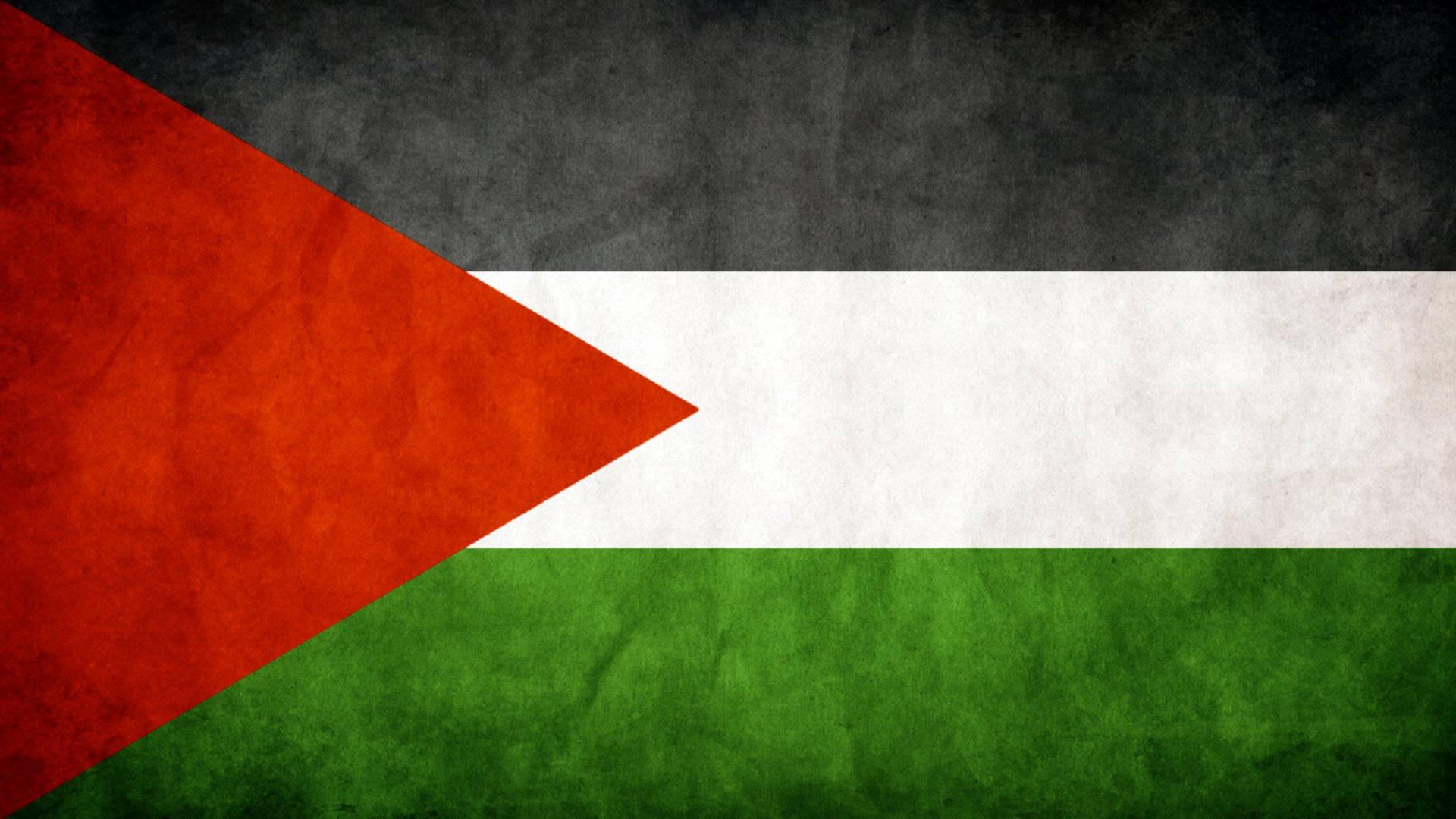 Strong and Resilient - The Textured Flag of Palestine — 1920x1080 wallpaper
