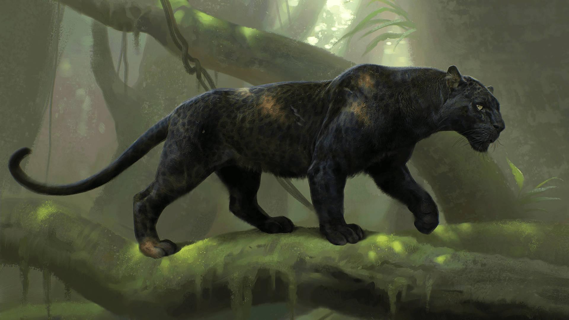 Strong Black Panther Animal — 1920x1080 wallpaper
