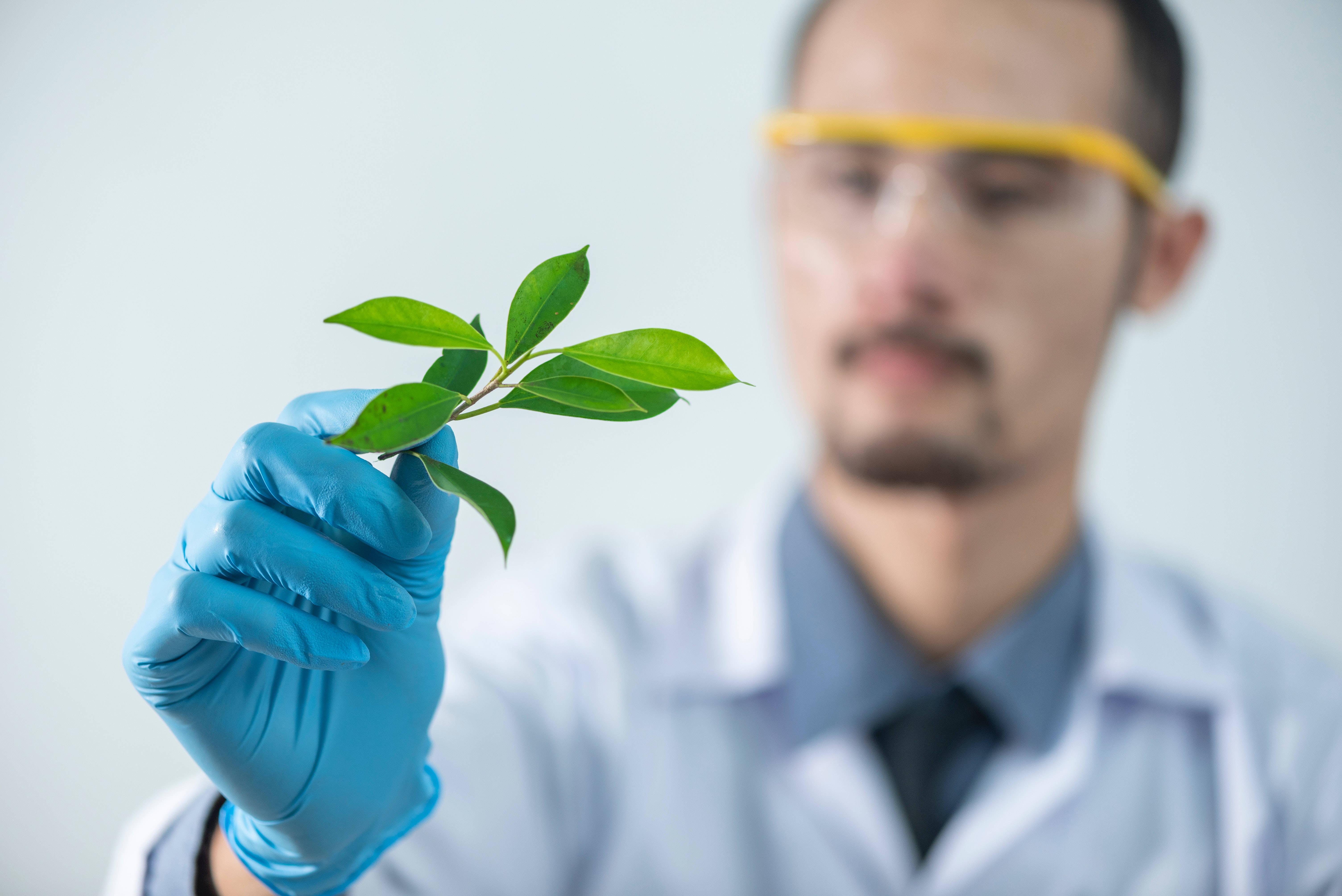Study Motivation Botany — 6016x4016 wallpaper