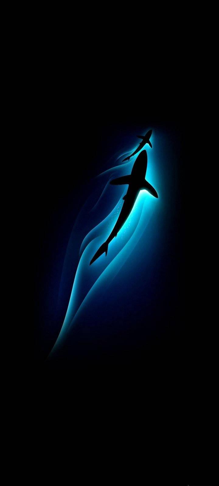 Stunning Shark Silhouettes on Vivo Y20 Display — 720x1600 wallpaper