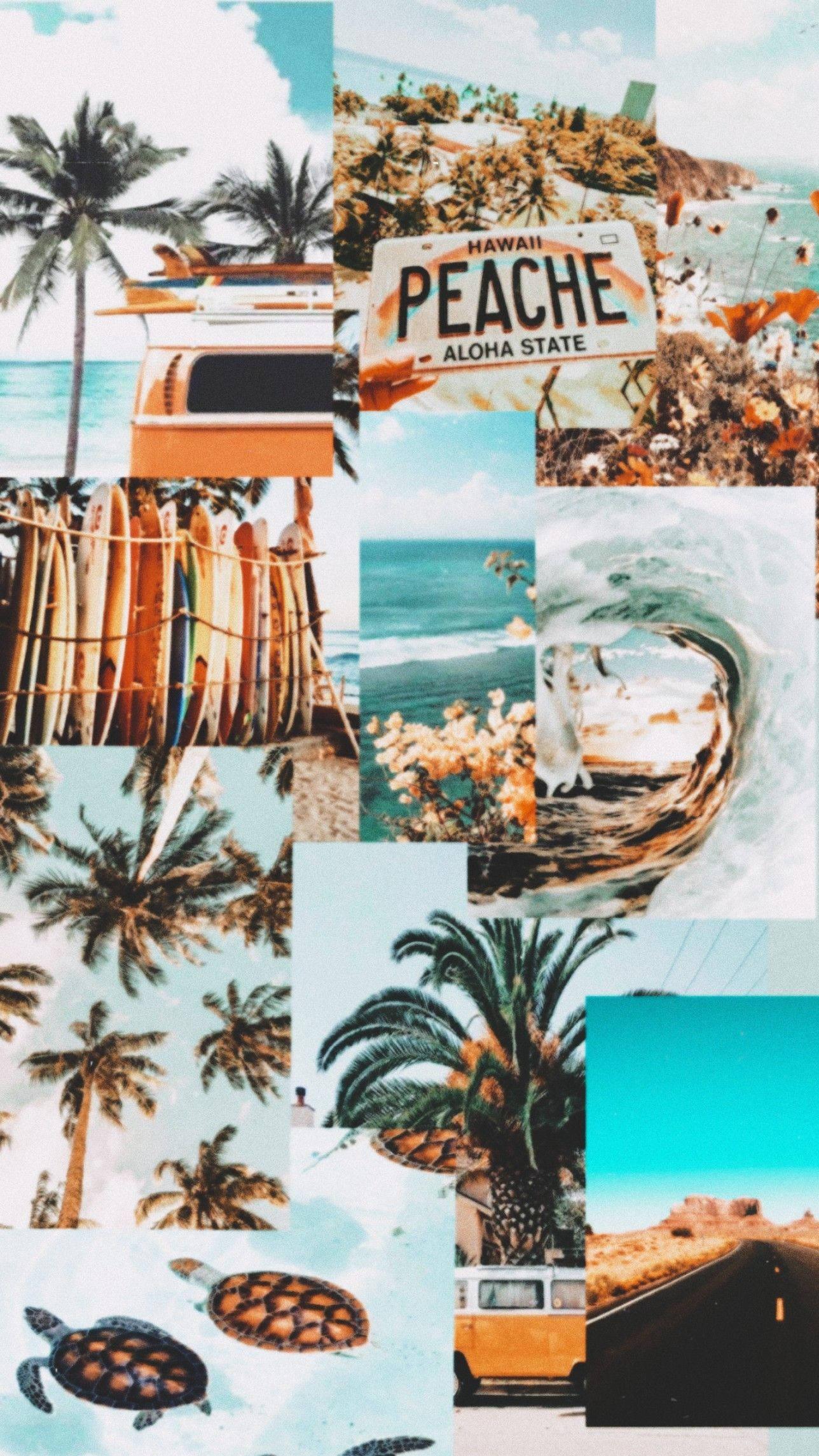 Summer Aesthetic Beach Vibe Collage — 1288x2289 wallpaper