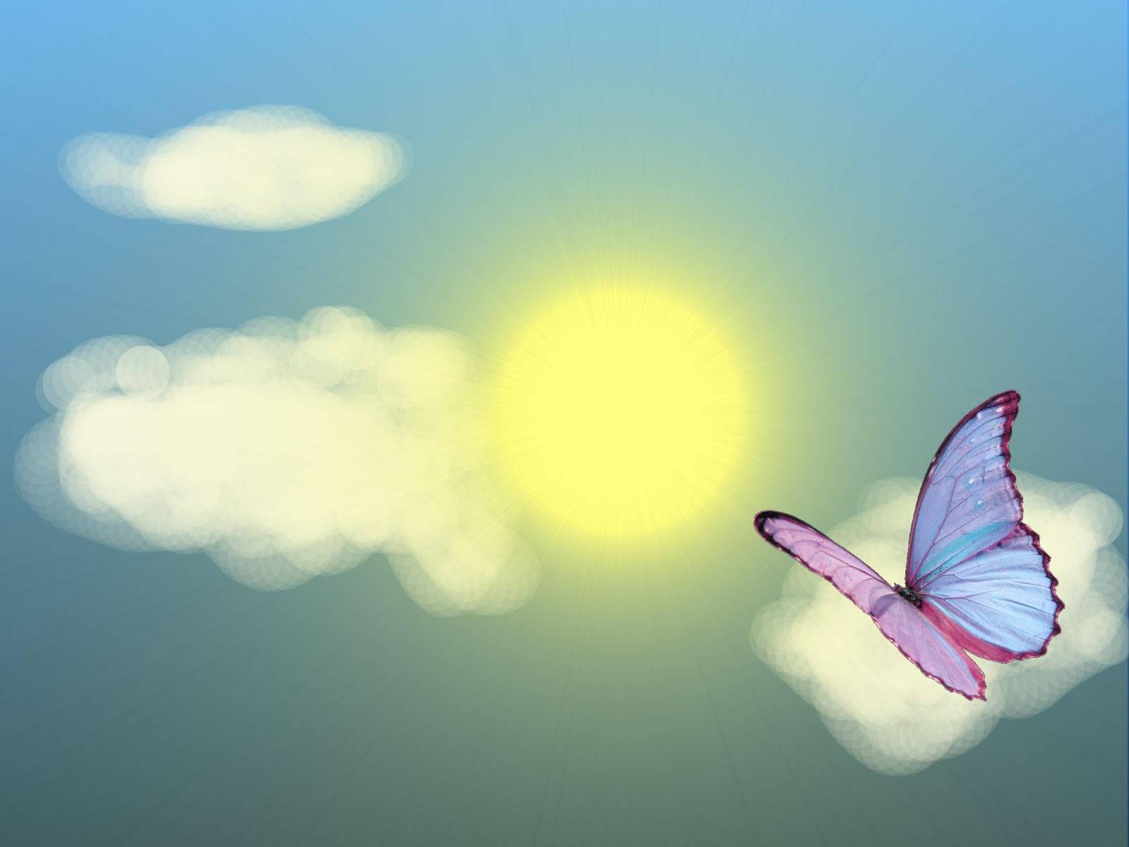 Summer Aesthetic Floating Butterfly — 1600x1200 wallpaper