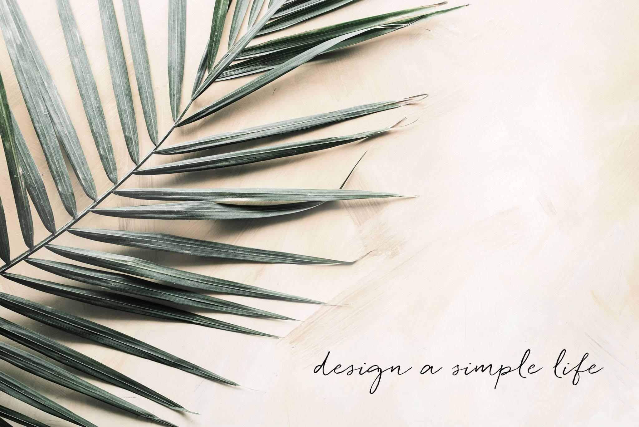 Summer Aesthetic Palm Leaves With Quote — 2048x1368 wallpaper