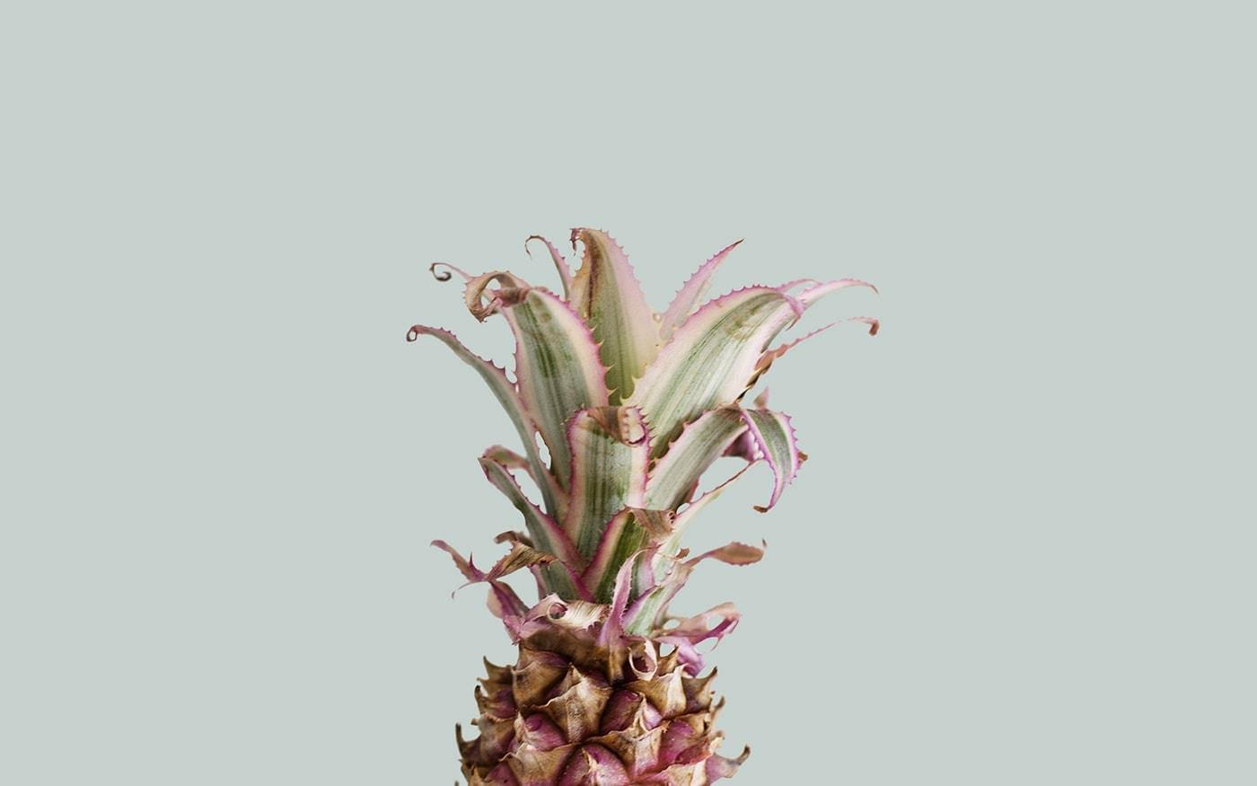 Summer Aesthetic Pink Pineapple — 1400x875 wallpaper