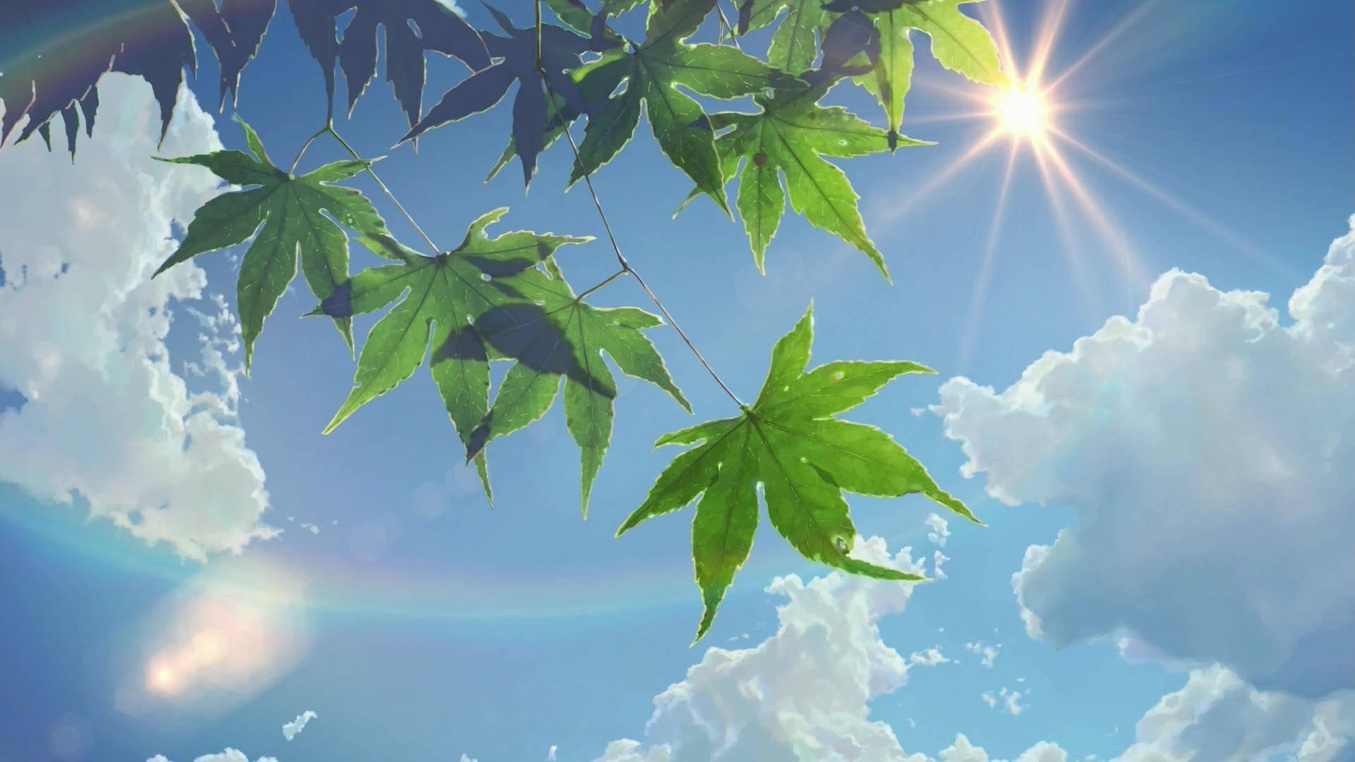 Summer Aesthetic Sun And Sky — 1920x1080 wallpaper