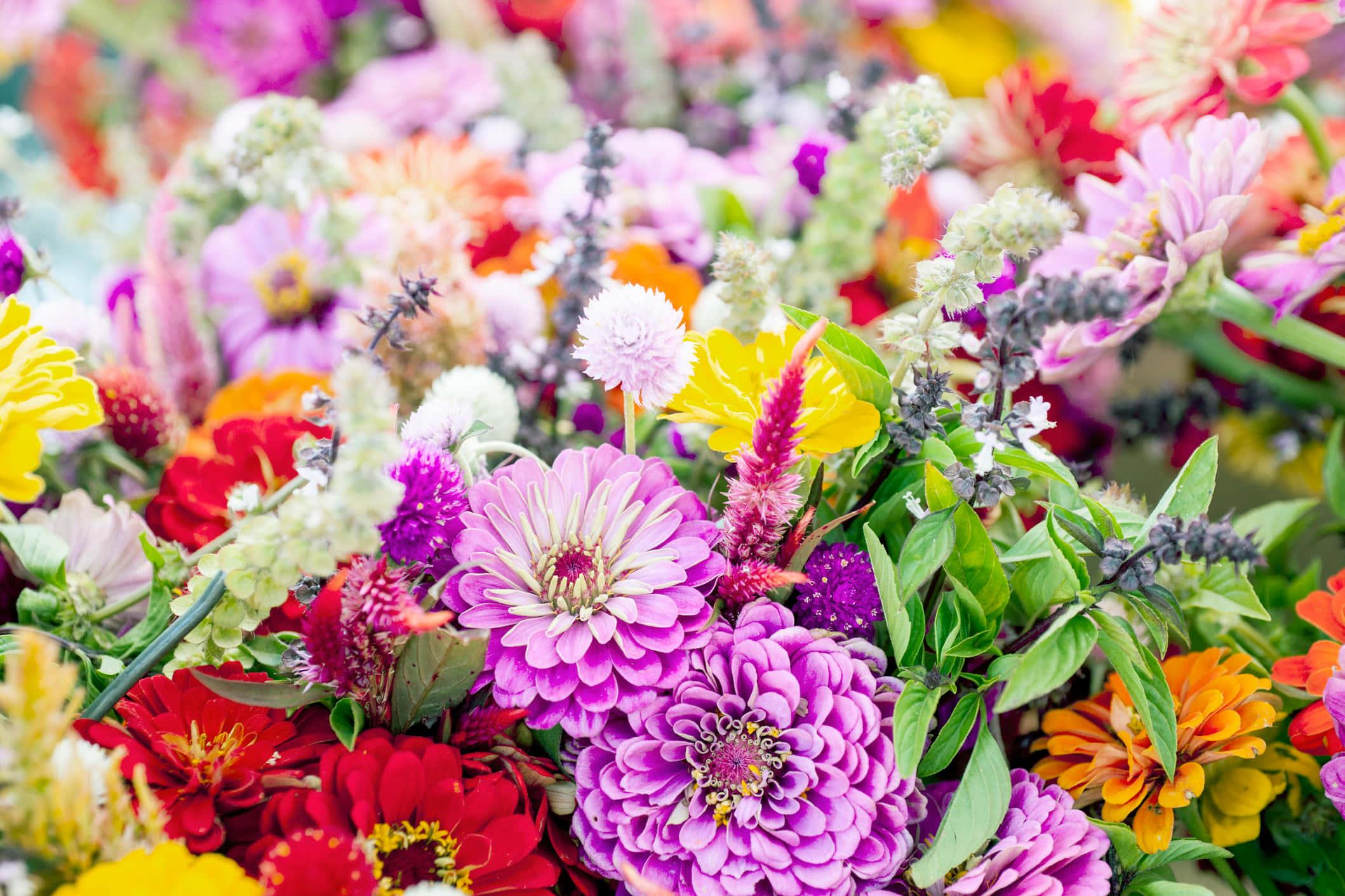 Summer Flower Arrangement Picture — 2118x1412 wallpaper