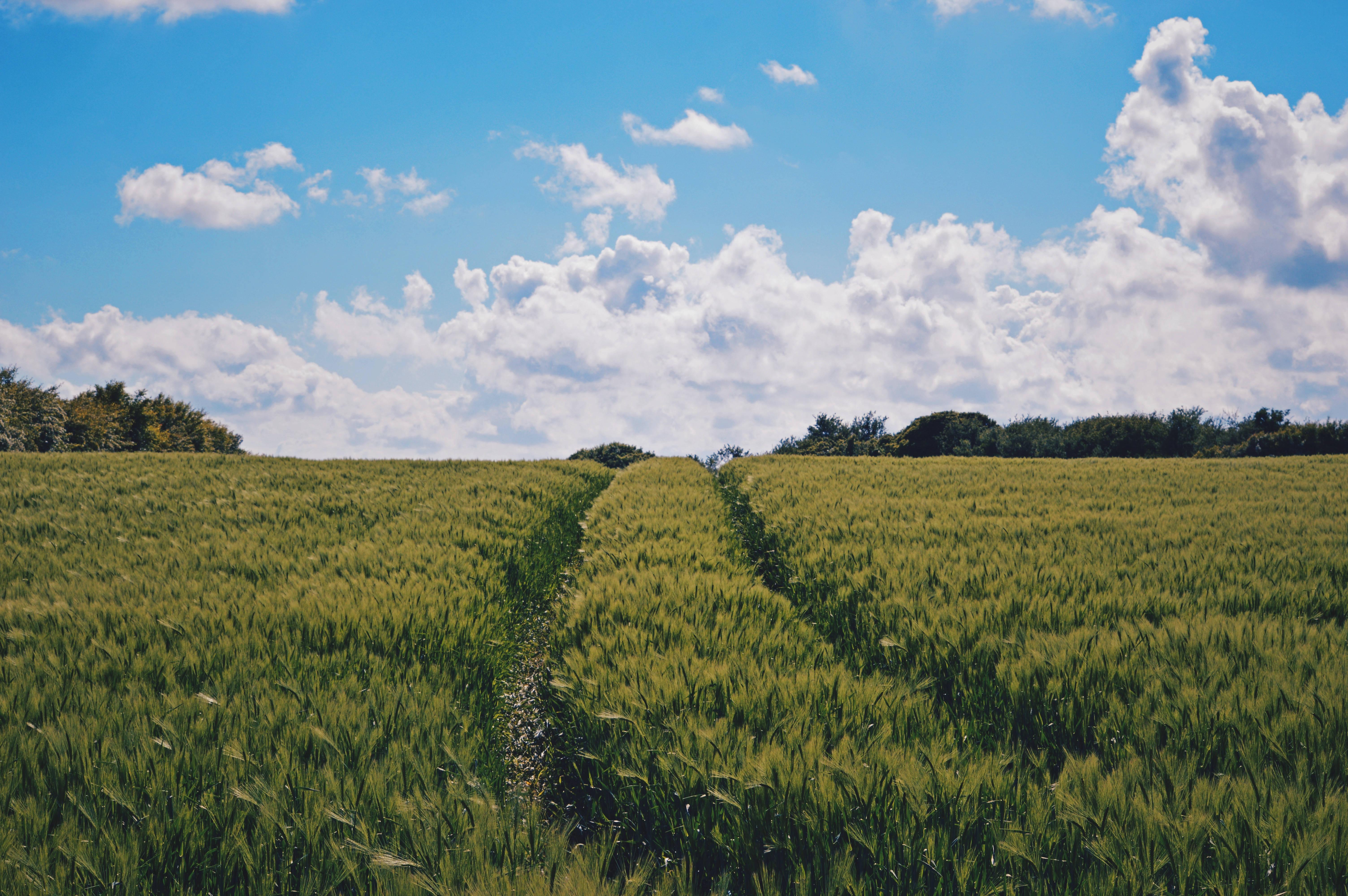 Summer in the Country - Call It Bliss — 6016x4000 wallpaper