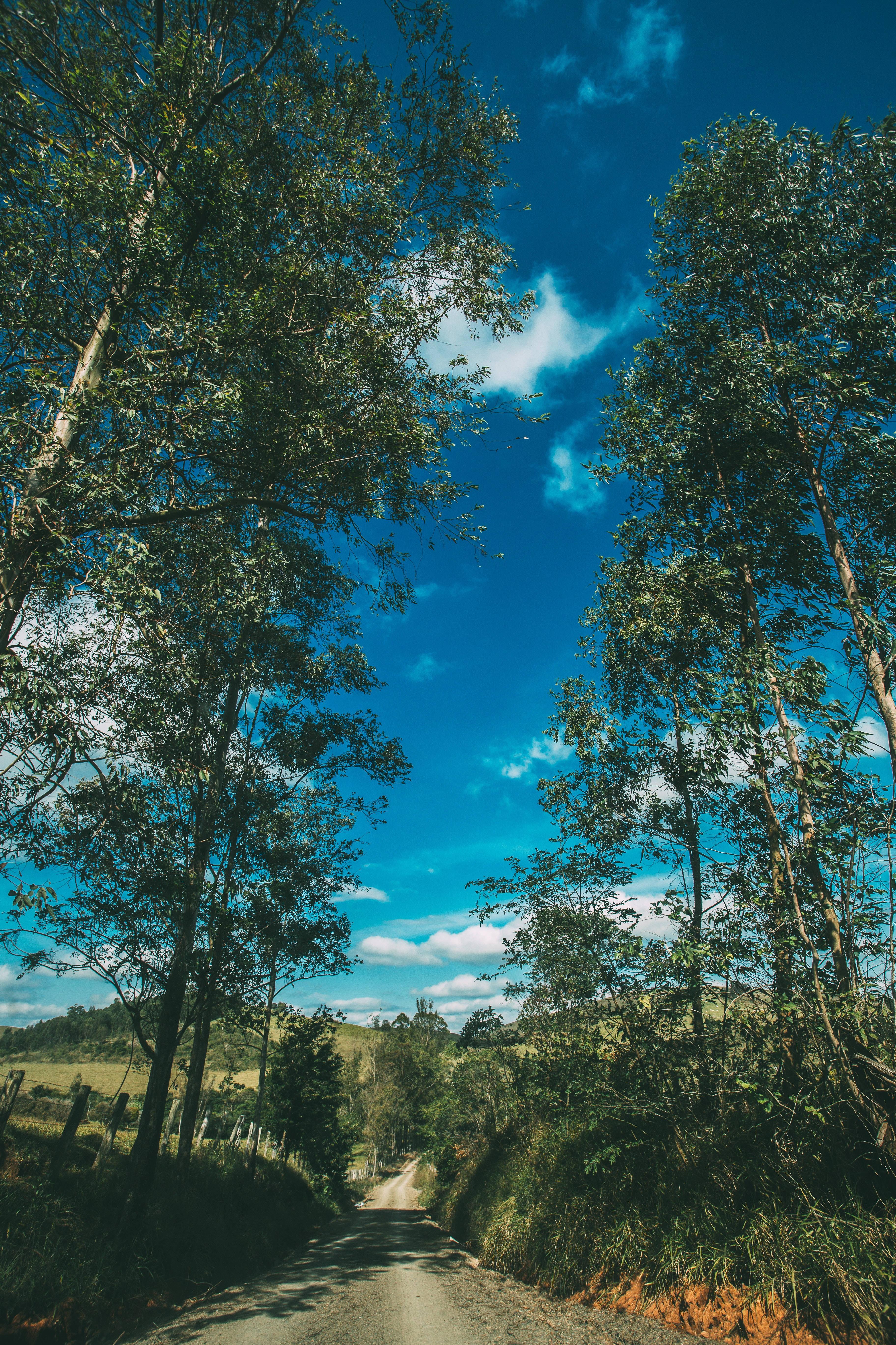 Summer Vibes — 3648x5472 wallpaper