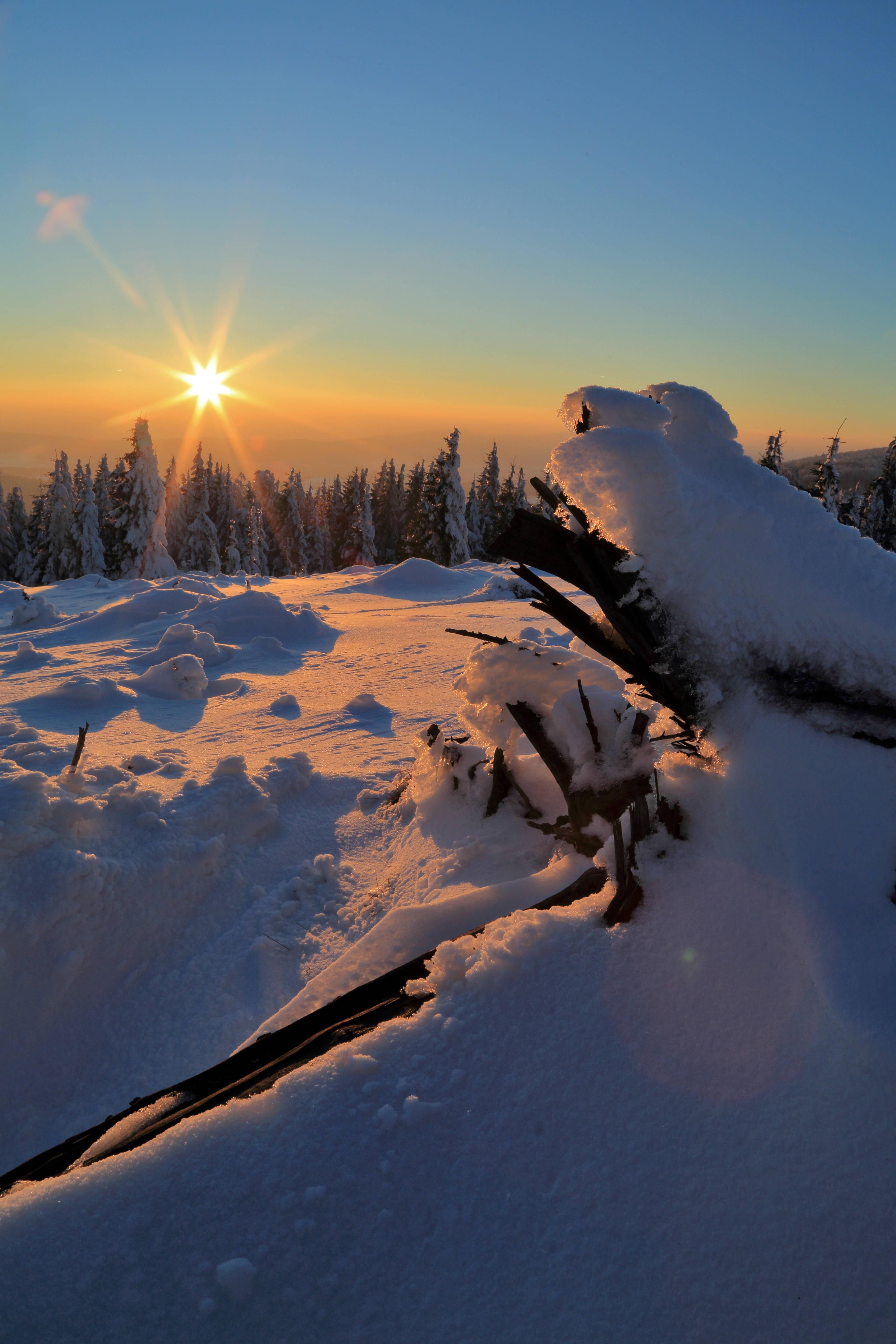 Sunset On Winter — 3840x5760 wallpaper