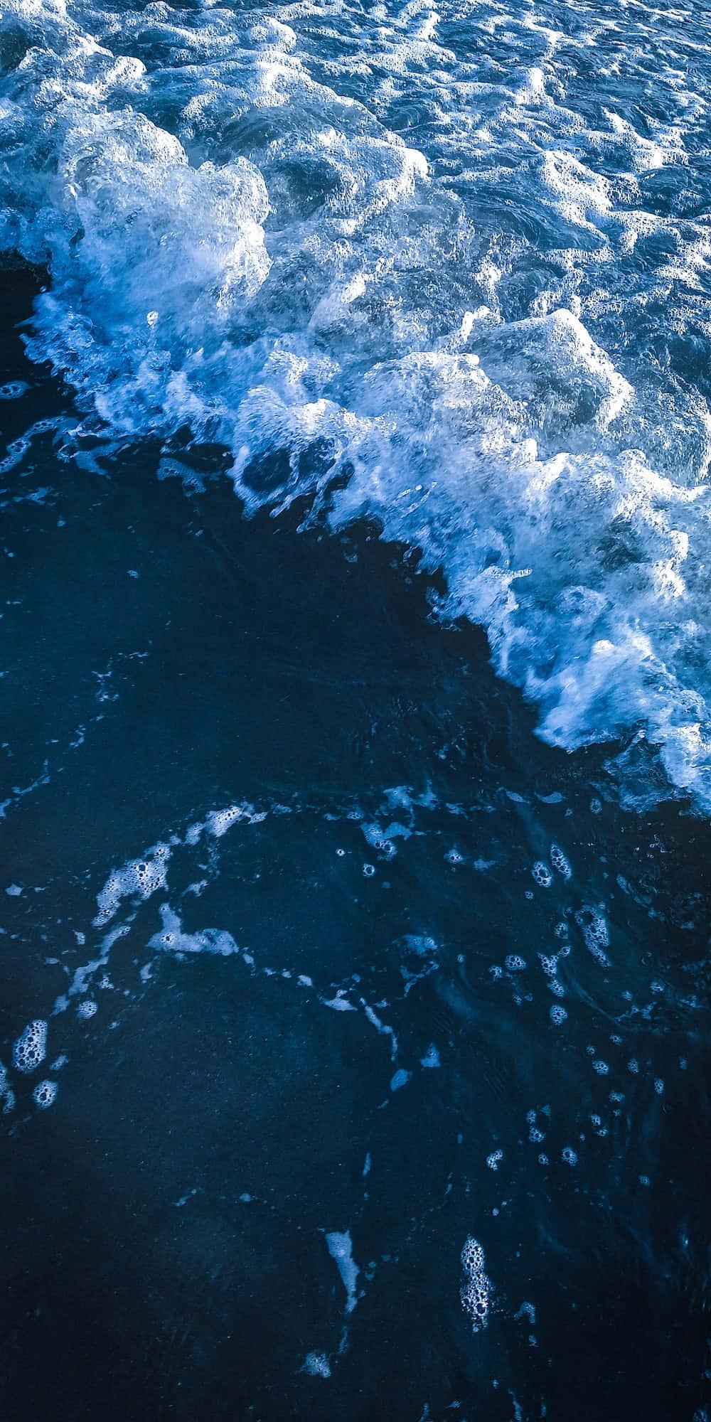 Surrounded by the beauty of the Blue Aesthetic — 1000x2000 wallpaper