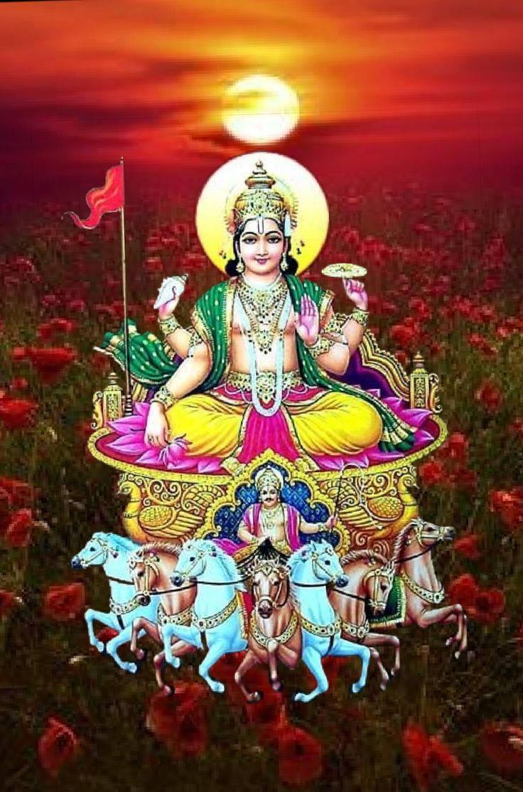 Surya Bhagwan On A Flower Field — 736x1114 wallpaper