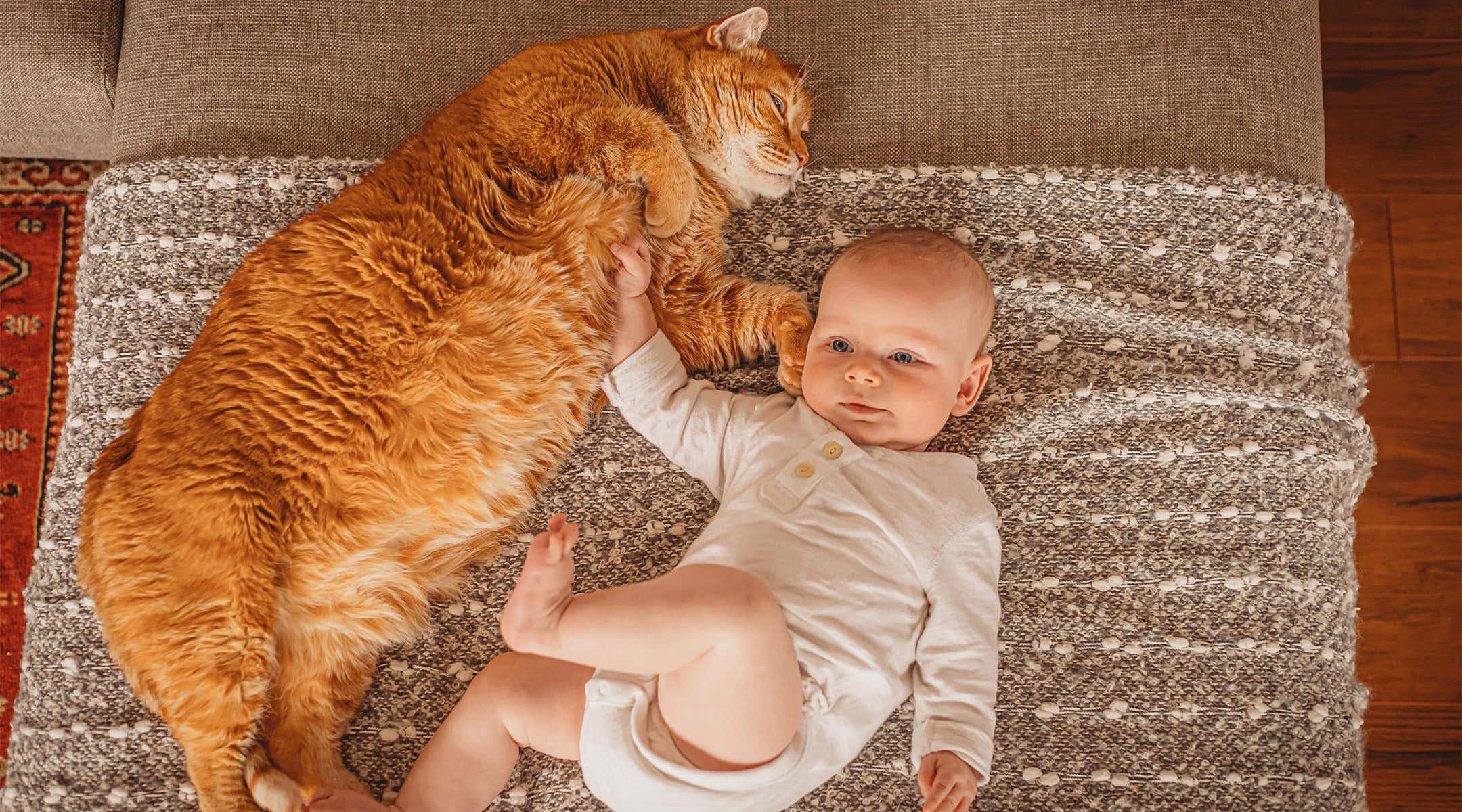 Sweet and cuddly! — 2160x1200 wallpaper